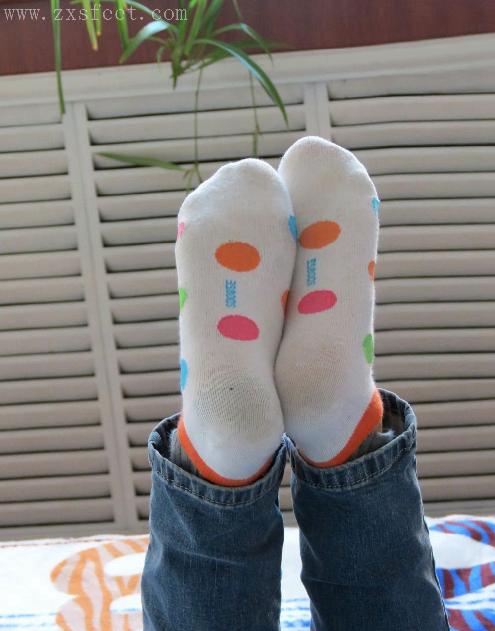 《温馨的家》作品图