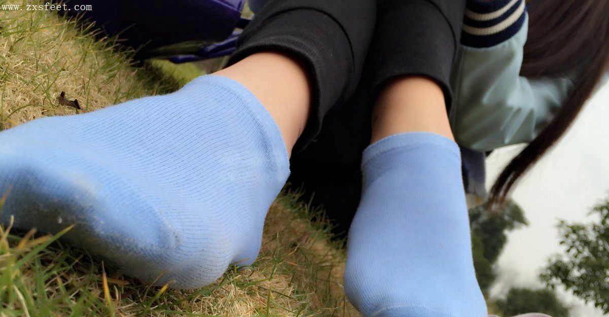 《草地绿葱葱》作品图