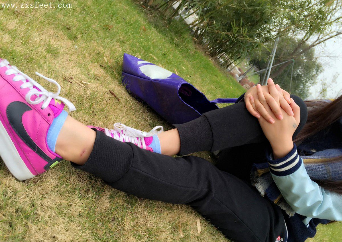 《草地绿葱葱》作品图