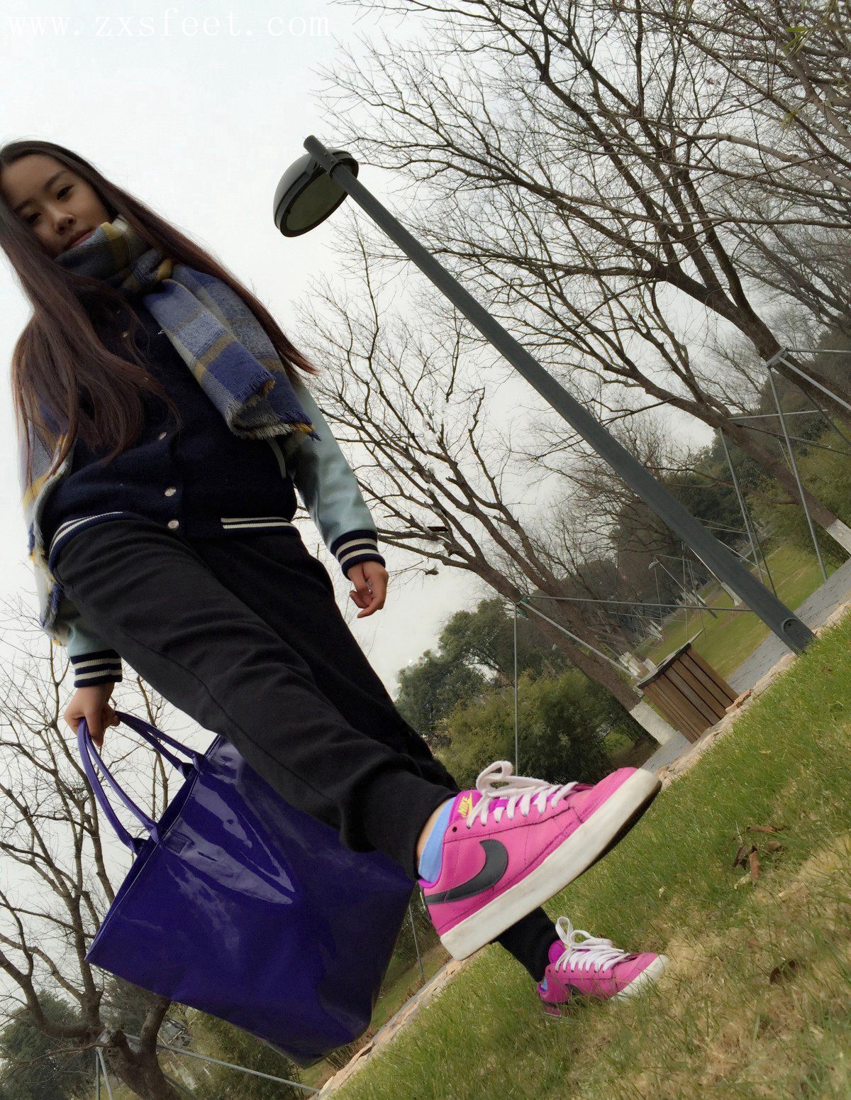 《草地绿葱葱》作品图