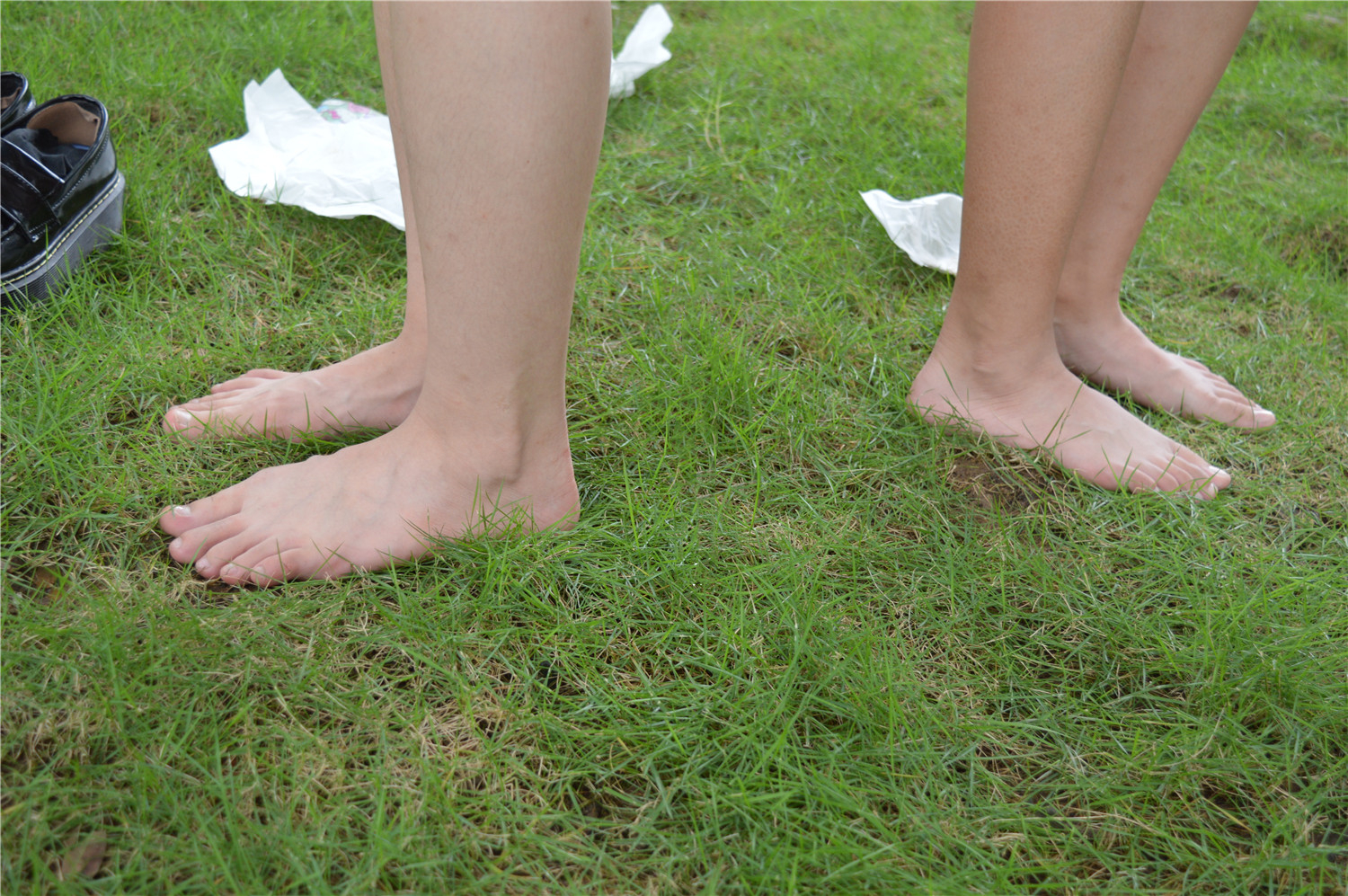 《草坪上的姐妹花》作品图