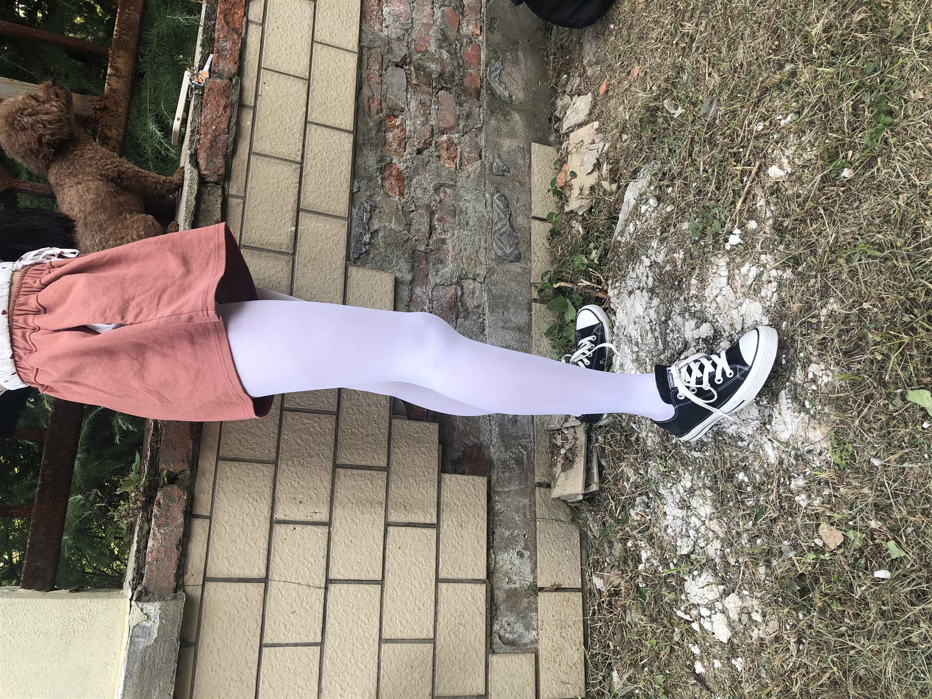 《邻班小姑娘的帆布鞋の白丝袜脚丫+2个视频》作品图