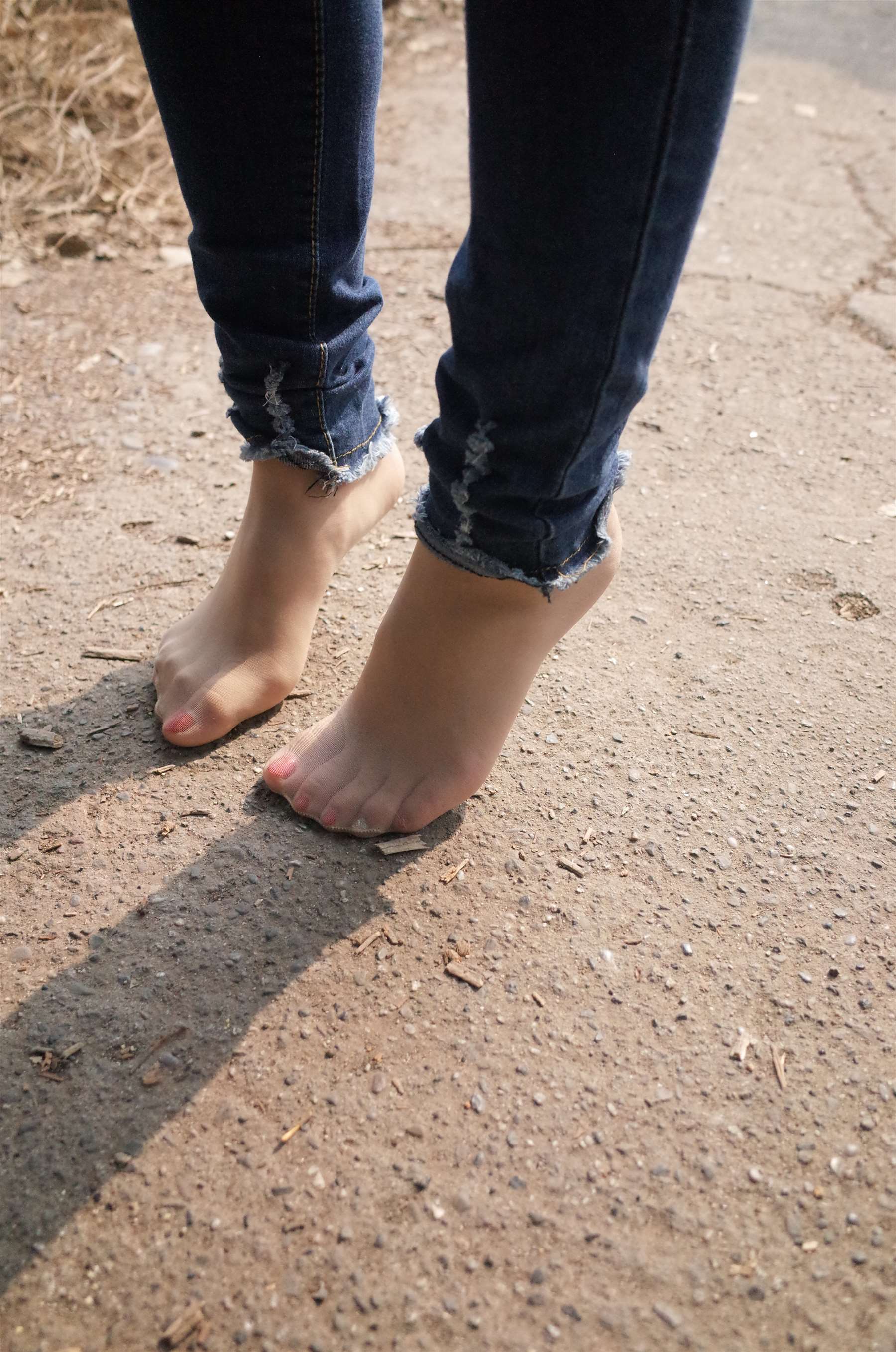 《乡间小路》作品图