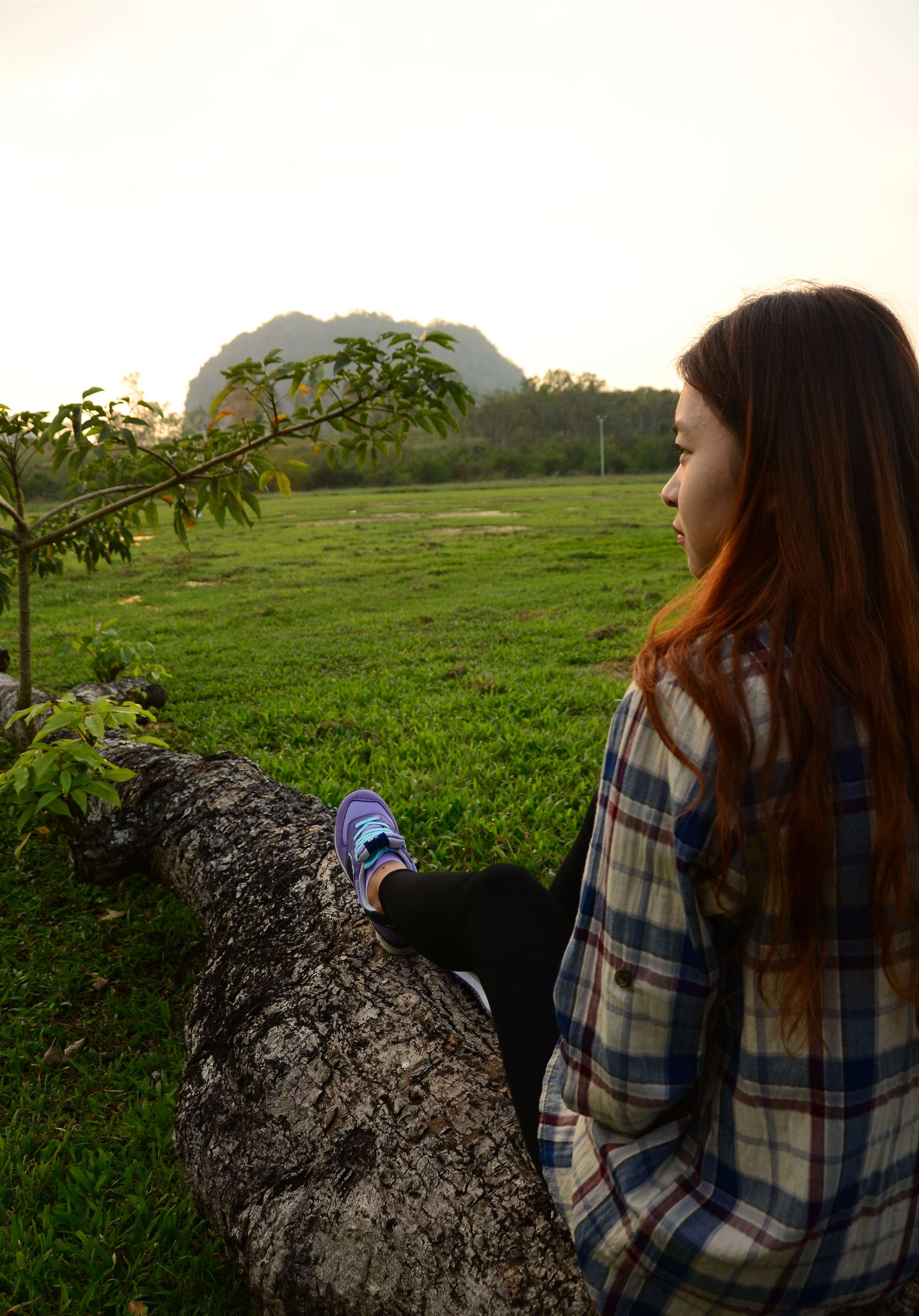 《新百伦の紫色棉袜脚》作品图