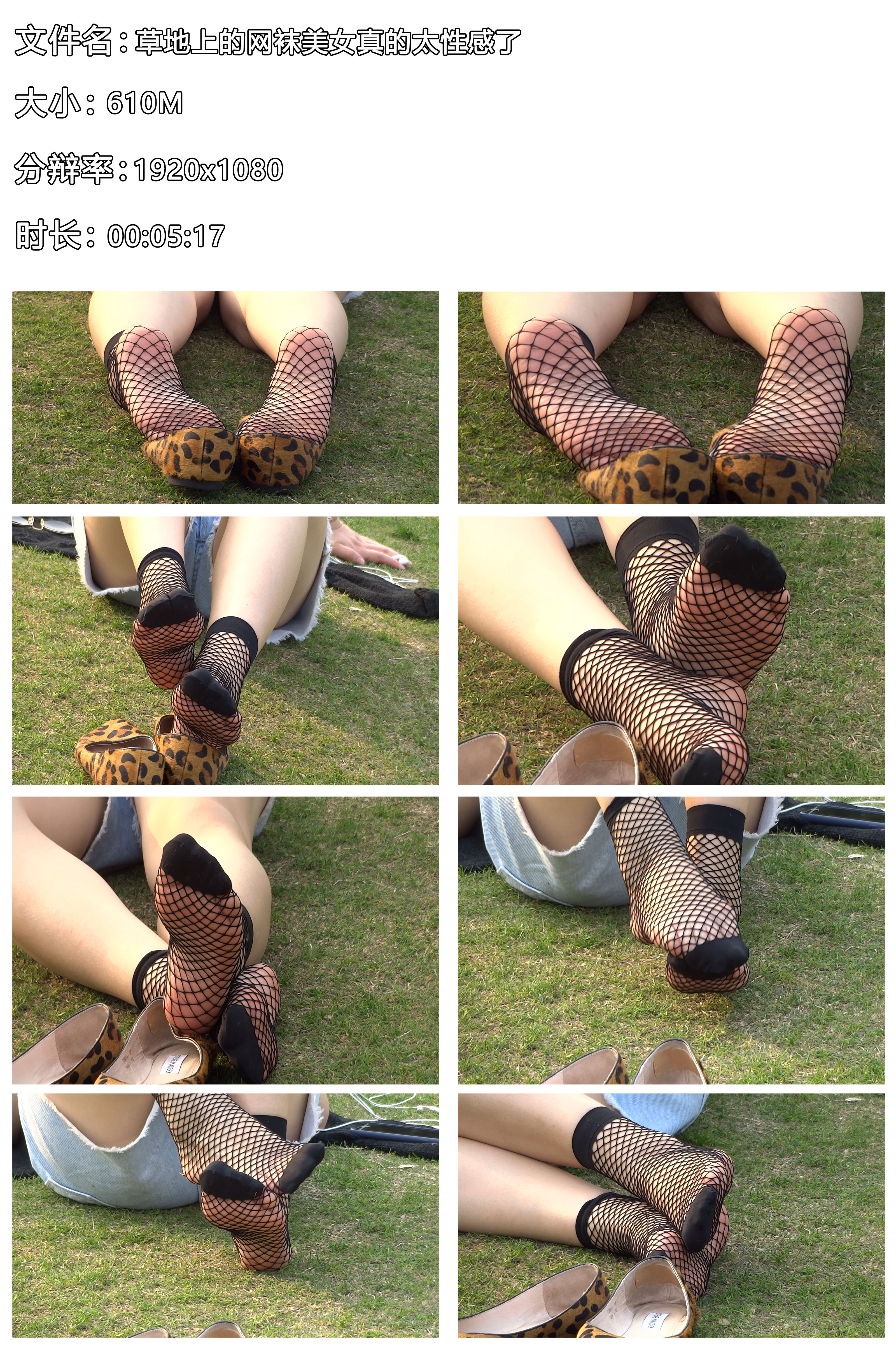 《【视频】草地上的网袜美女真的太性感了》作品图