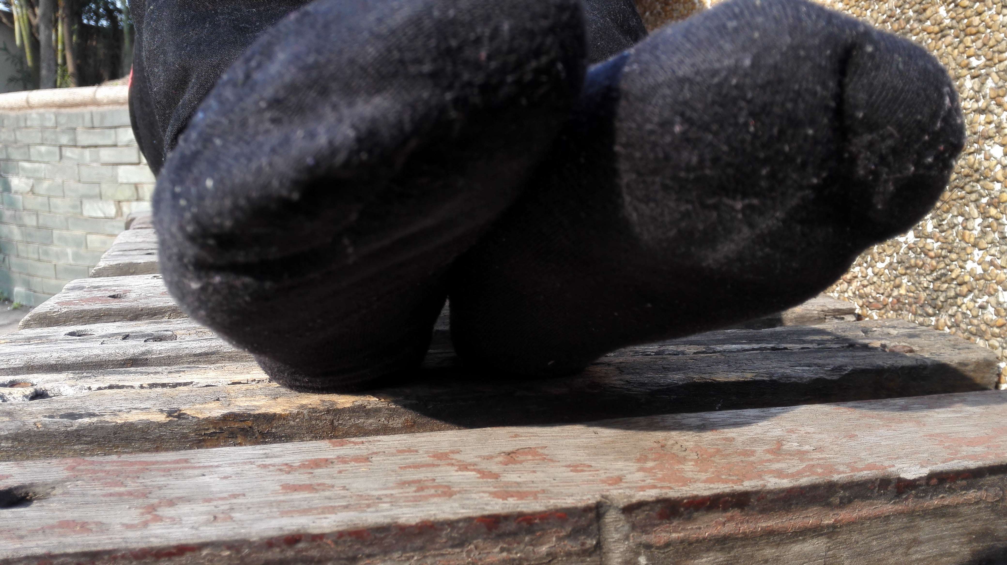 《【视频】商英班悦悦》作品图