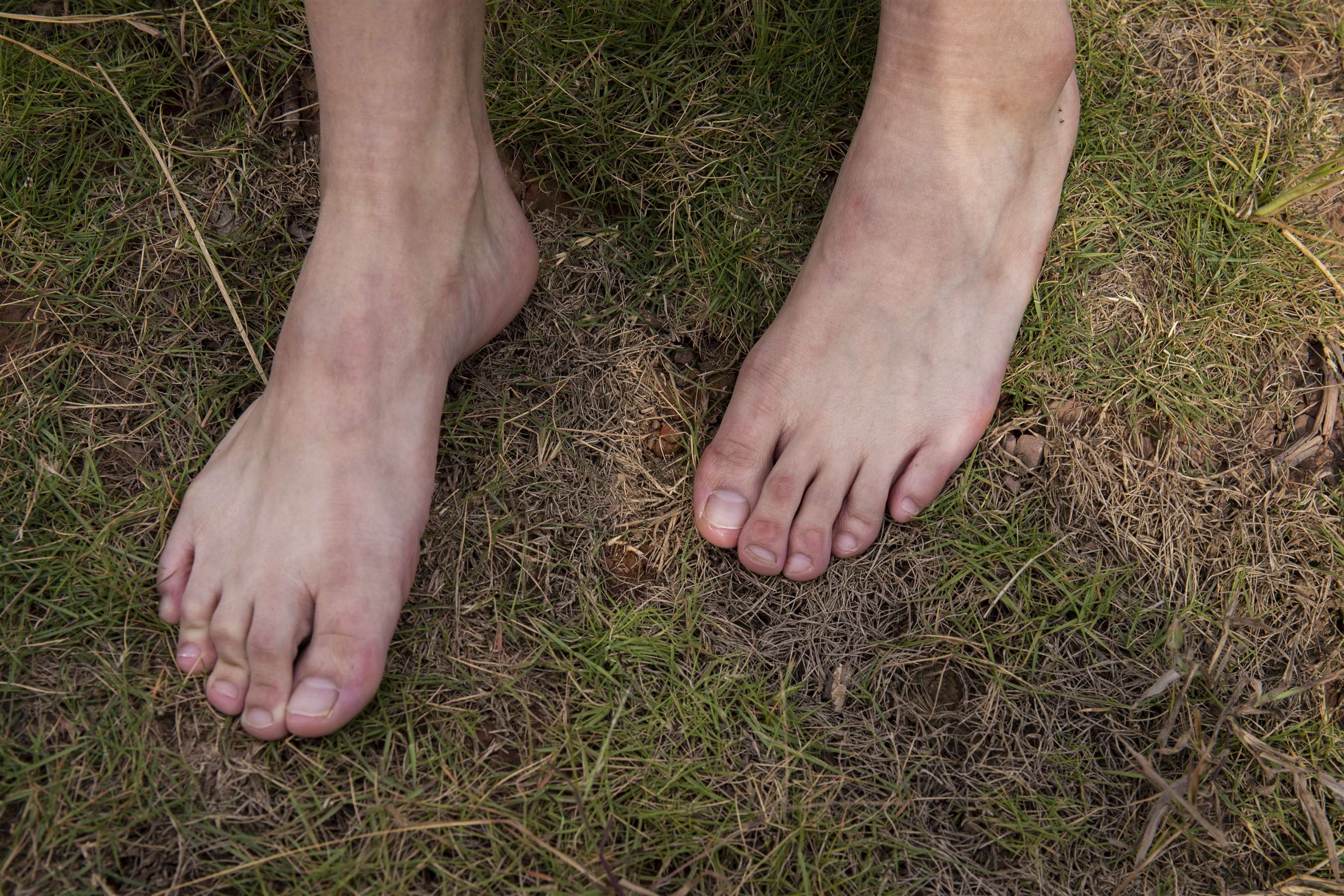 《学生彤彤挑鞋》作品图