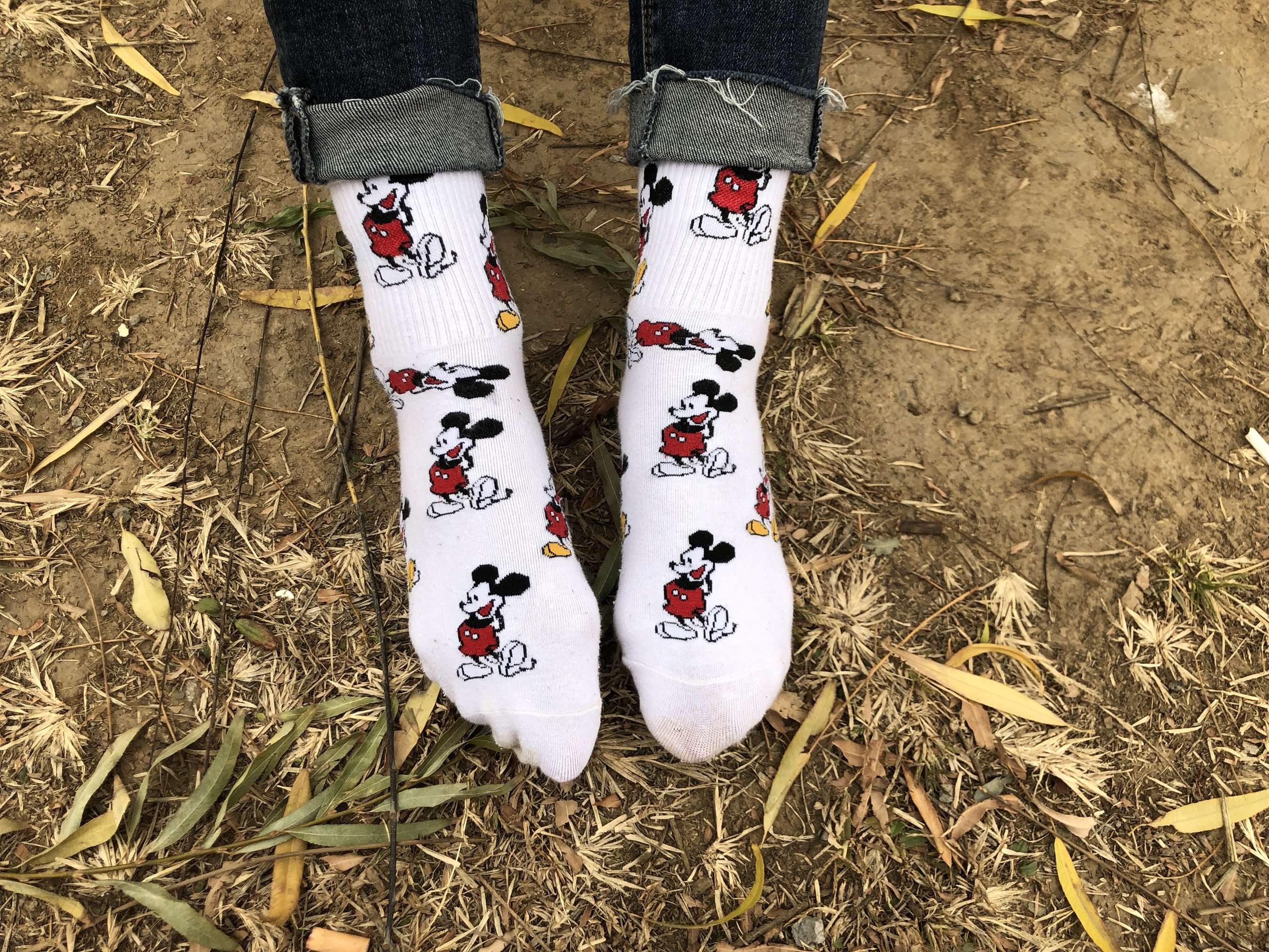 《安乔乔脱棉袜展嫩足》作品图