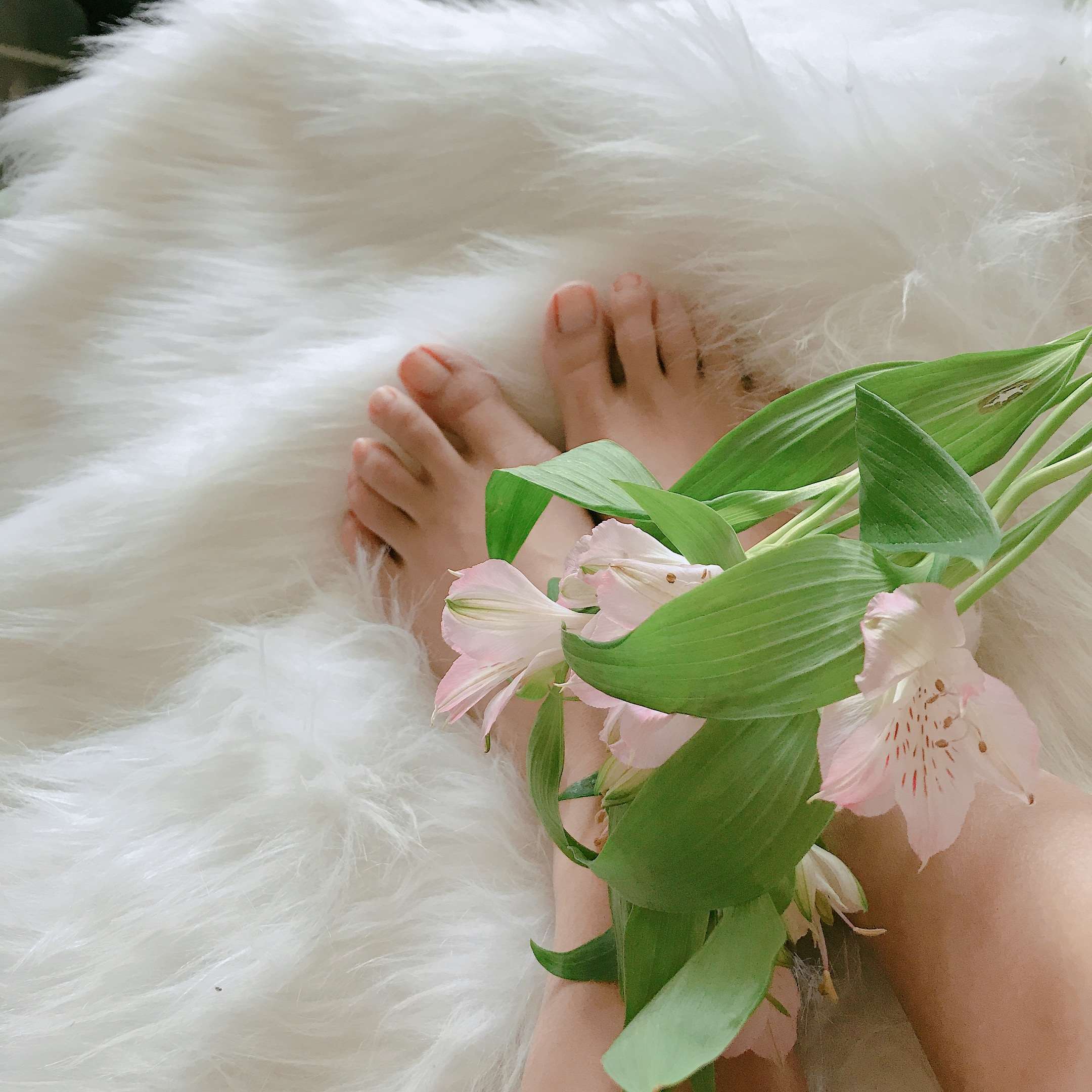 《学姐来了》作品图