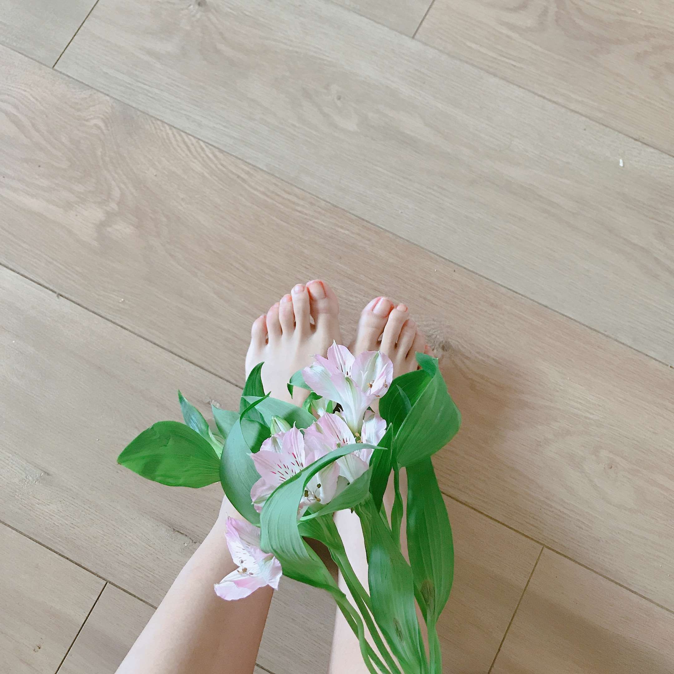 《学姐来了》作品图