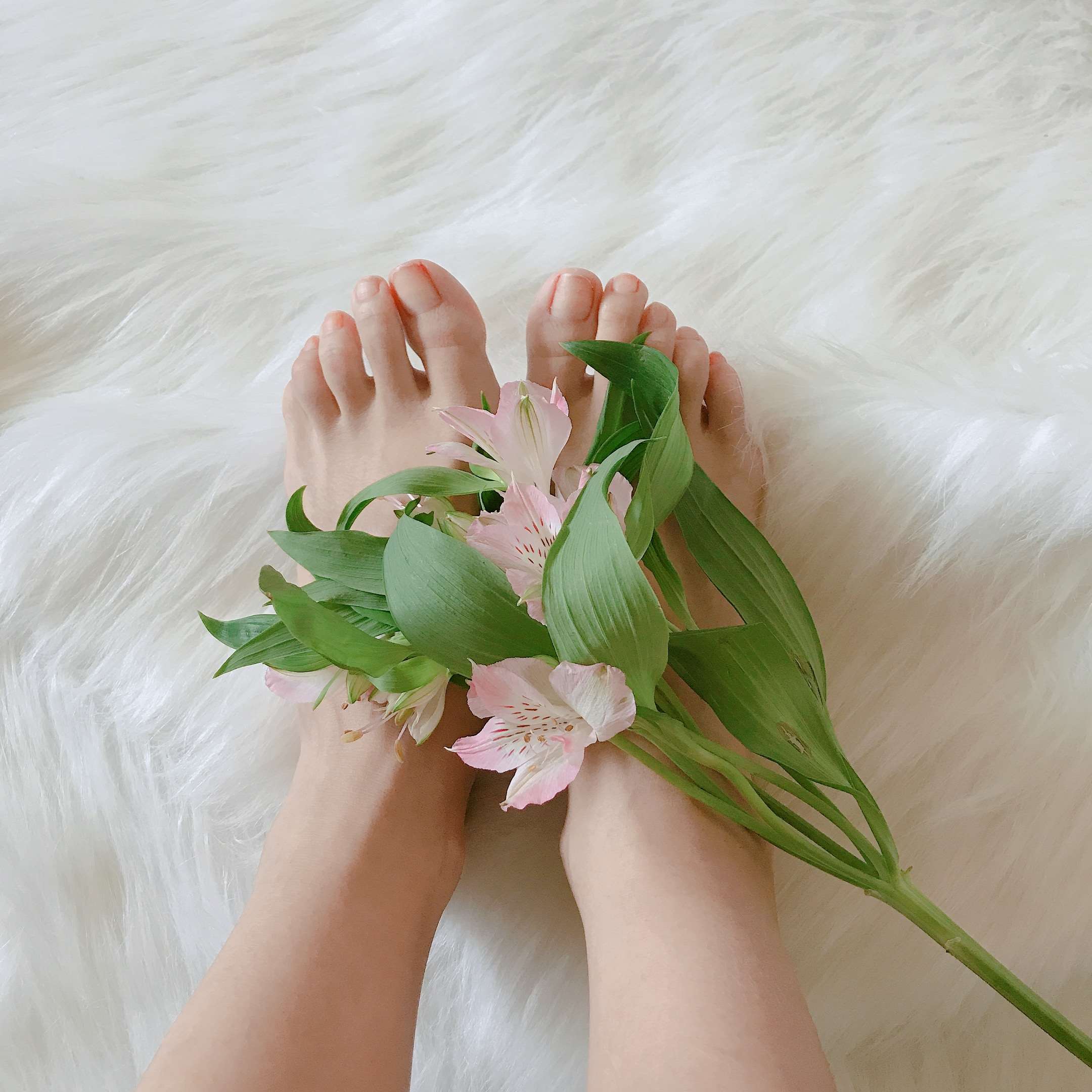 《学姐来了》作品图