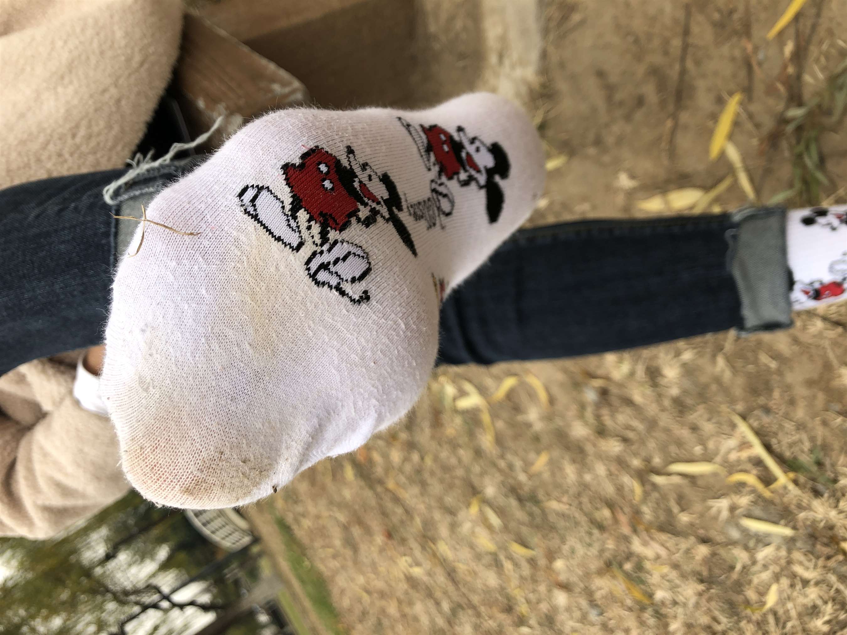 《脱棉袜展嫩足》作品图