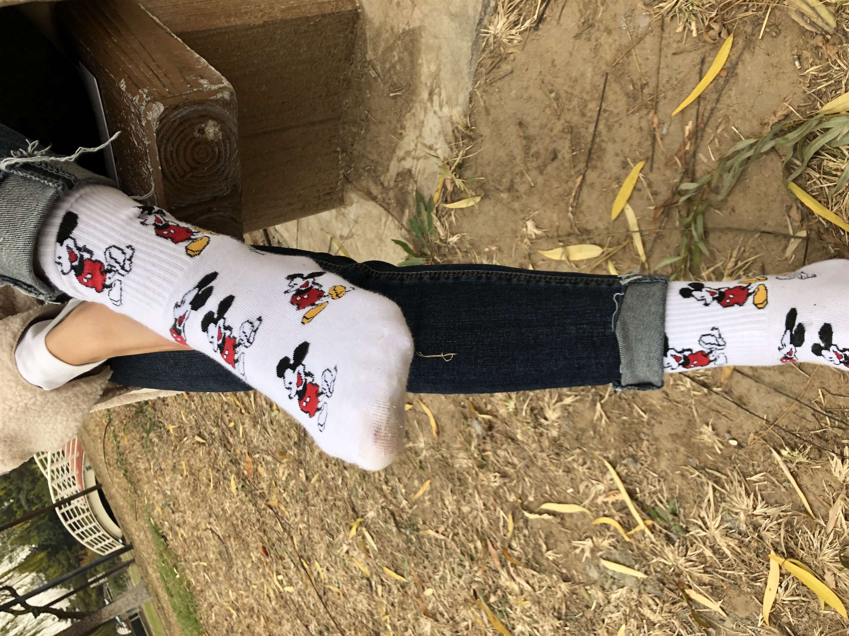 《脱棉袜展嫩足》作品图