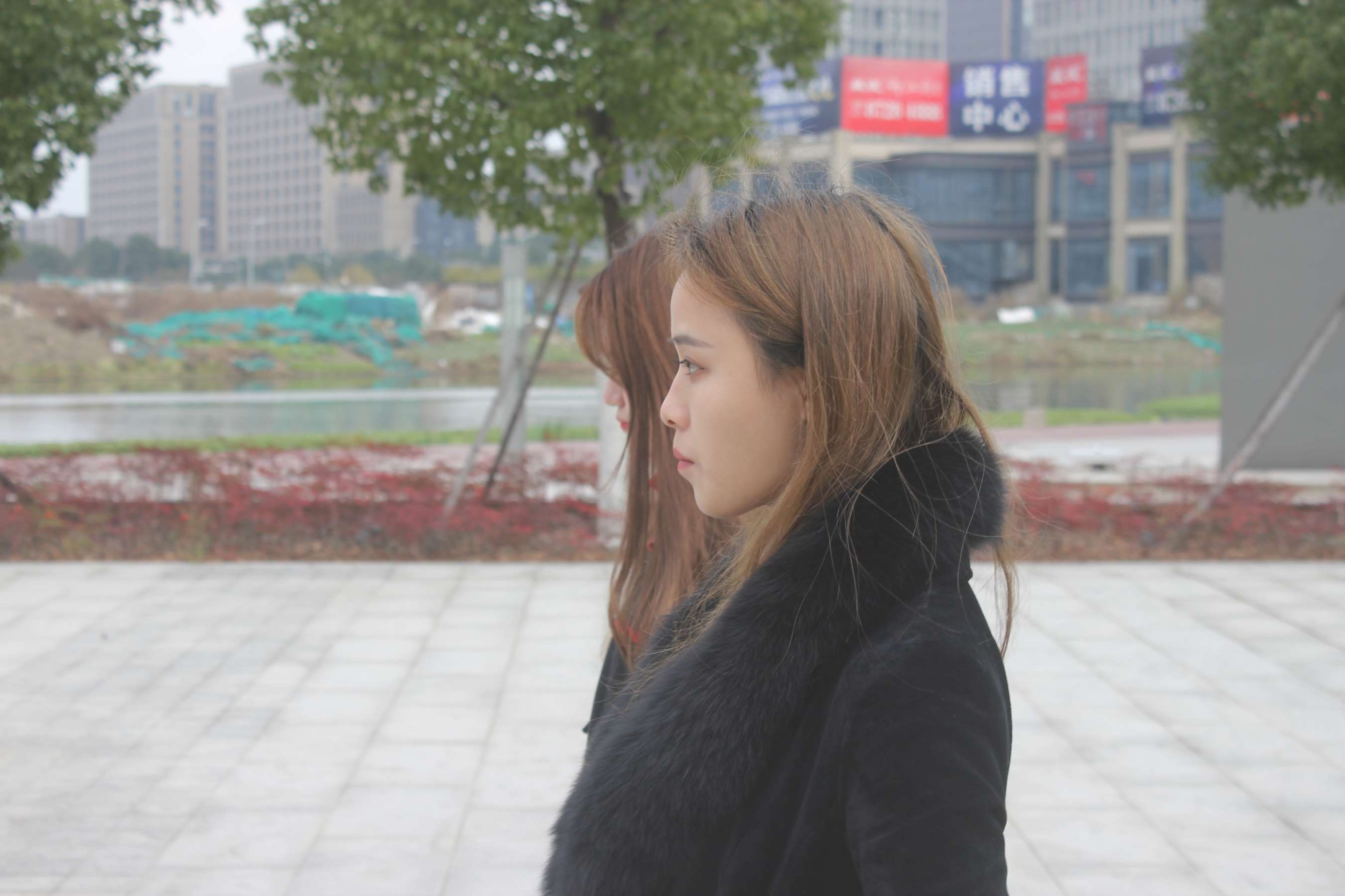 《赤脚两姐妹》作品图