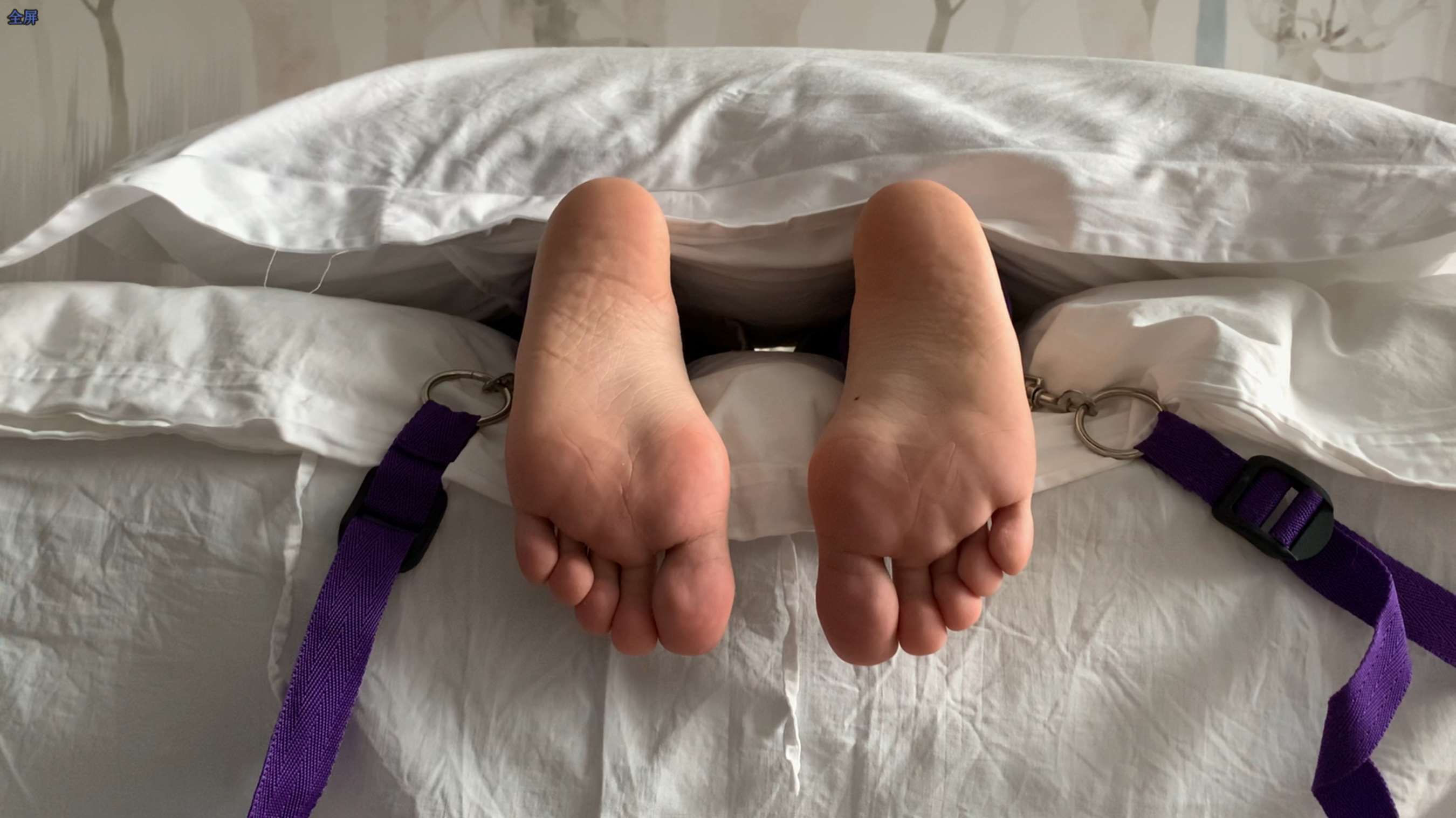 《挠白棉袜学妹脚心》作品图