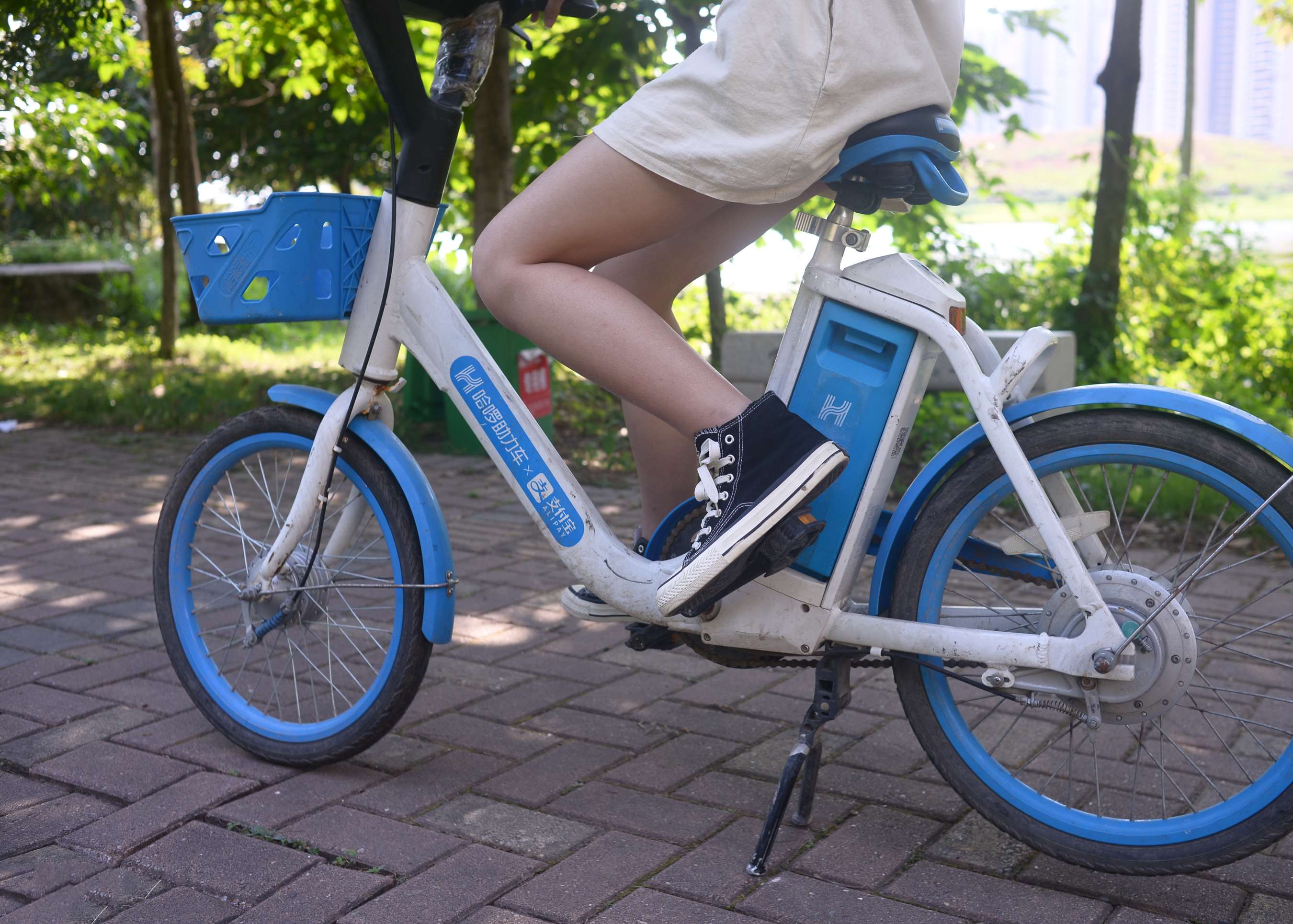 《小花师妹–时光如初见》作品图