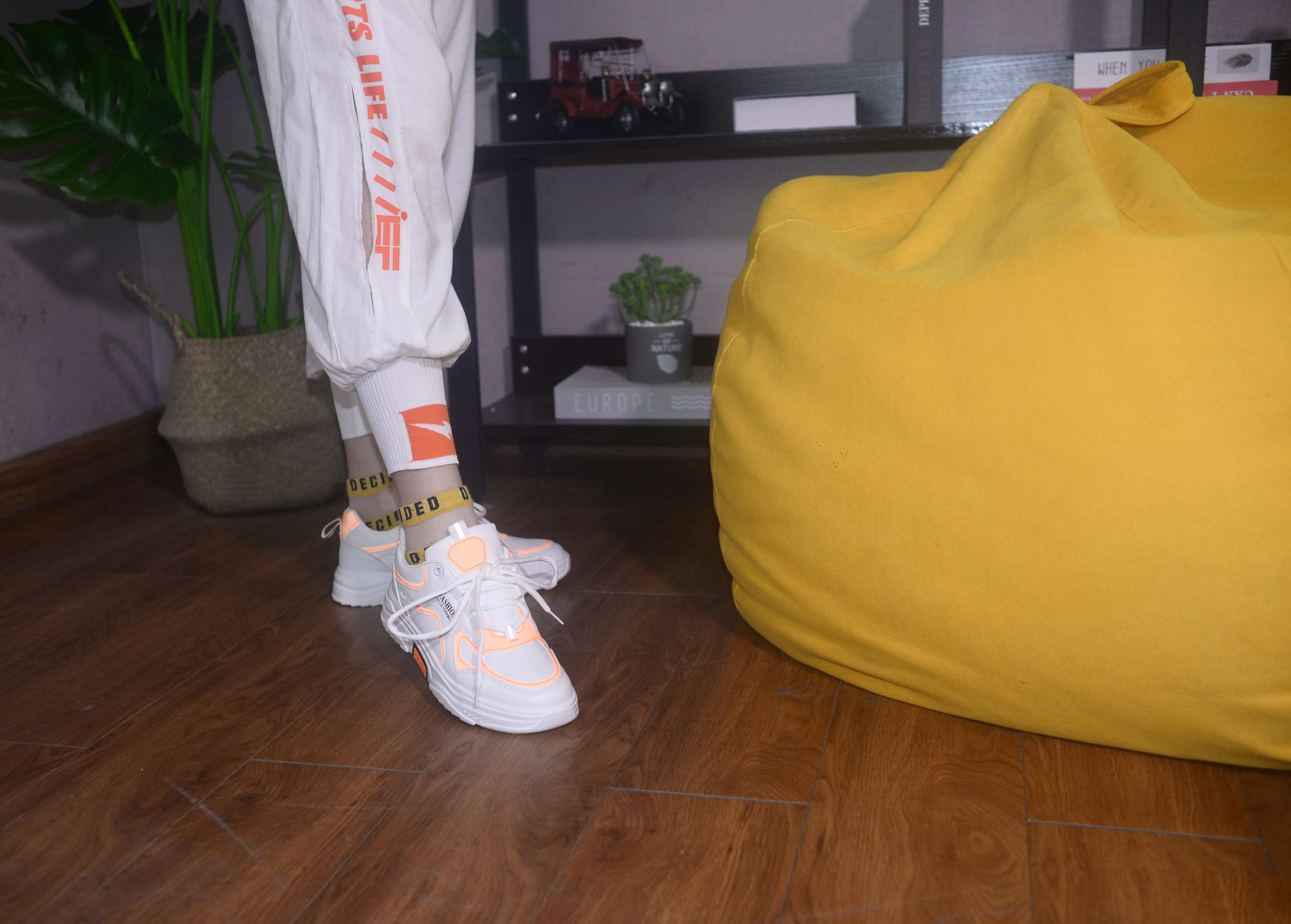 《赵沛学妹 清梦压星河》作品图