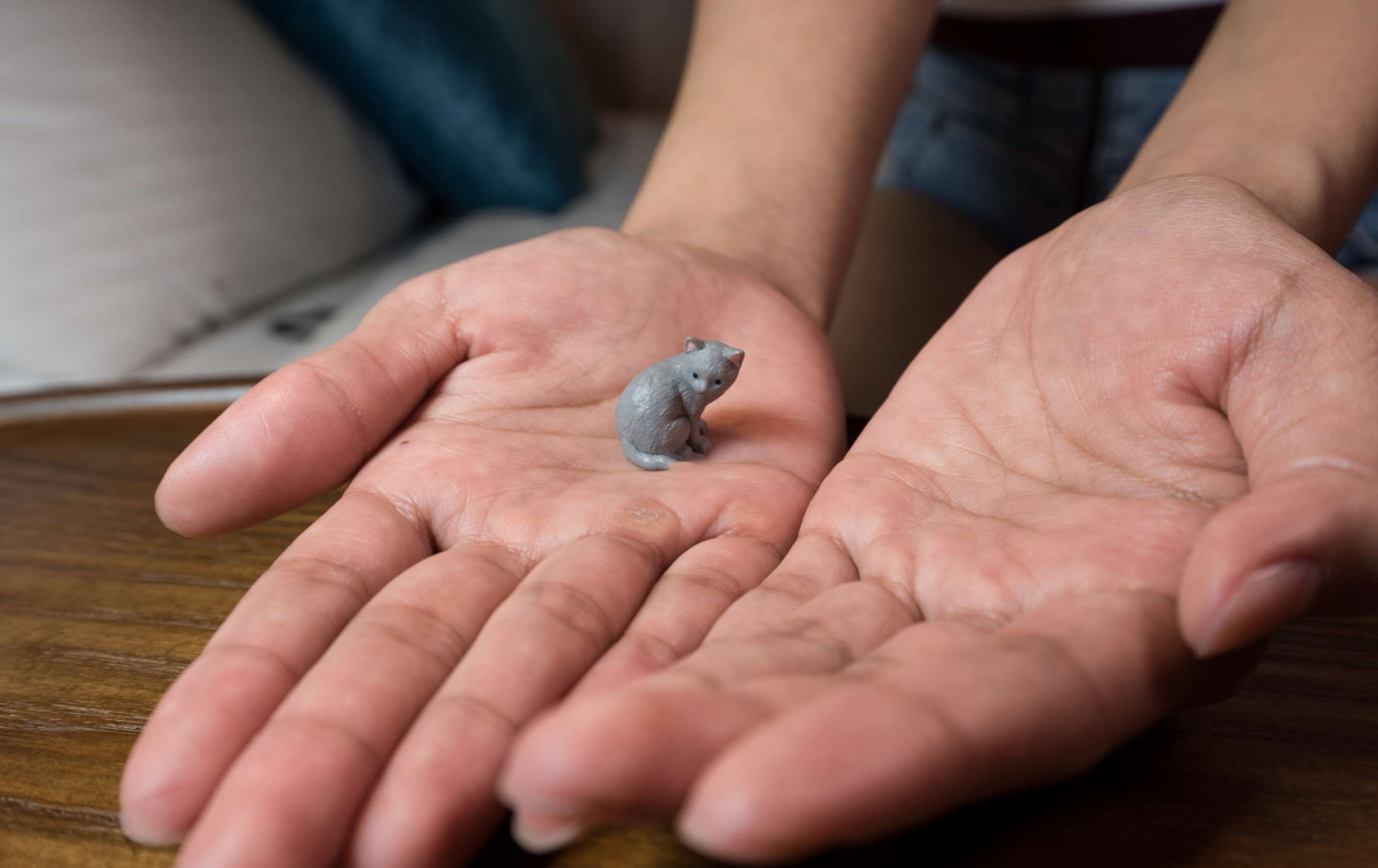 《小姐姐嫩足玩玩具》作品图