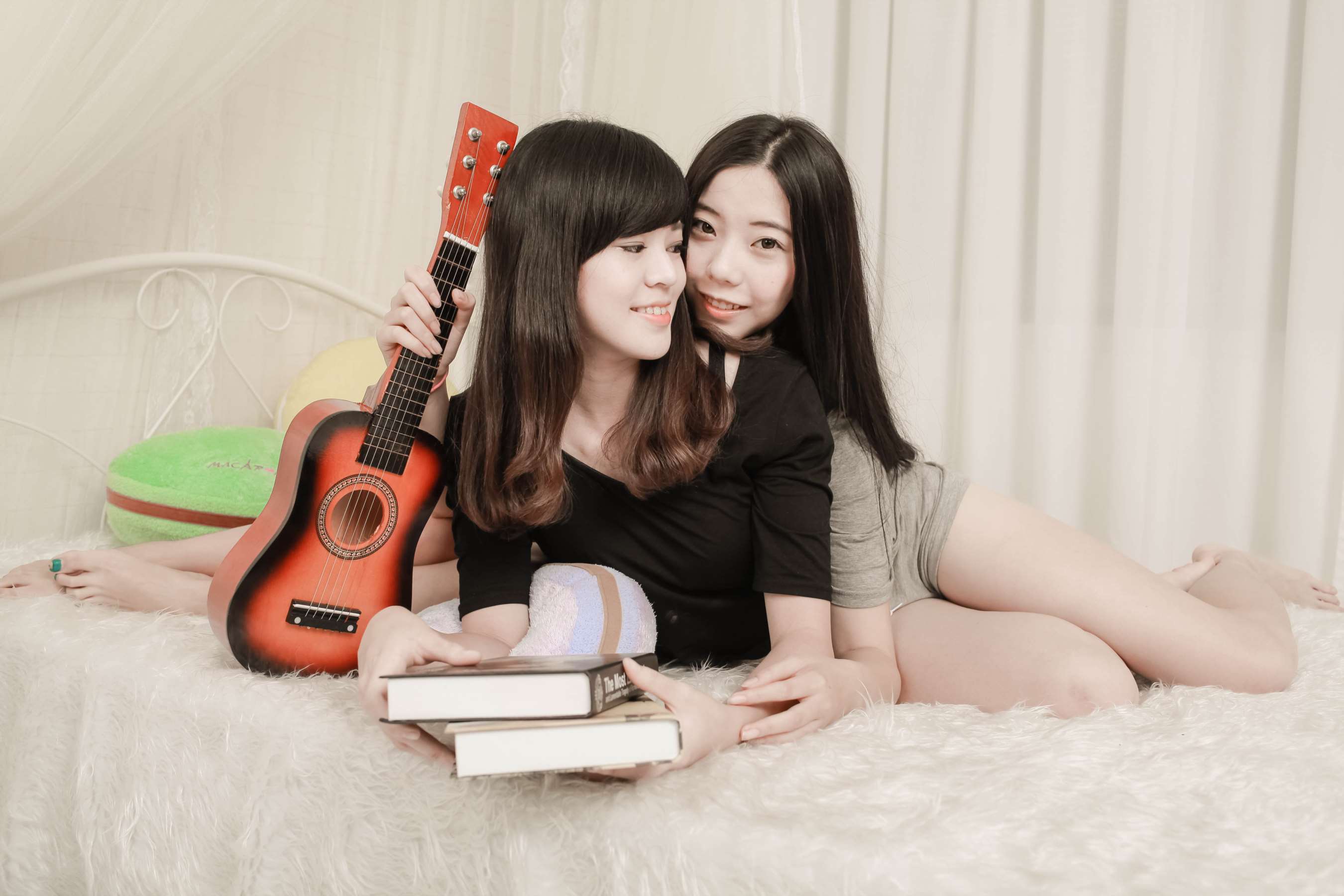 《姐妹花》作品图