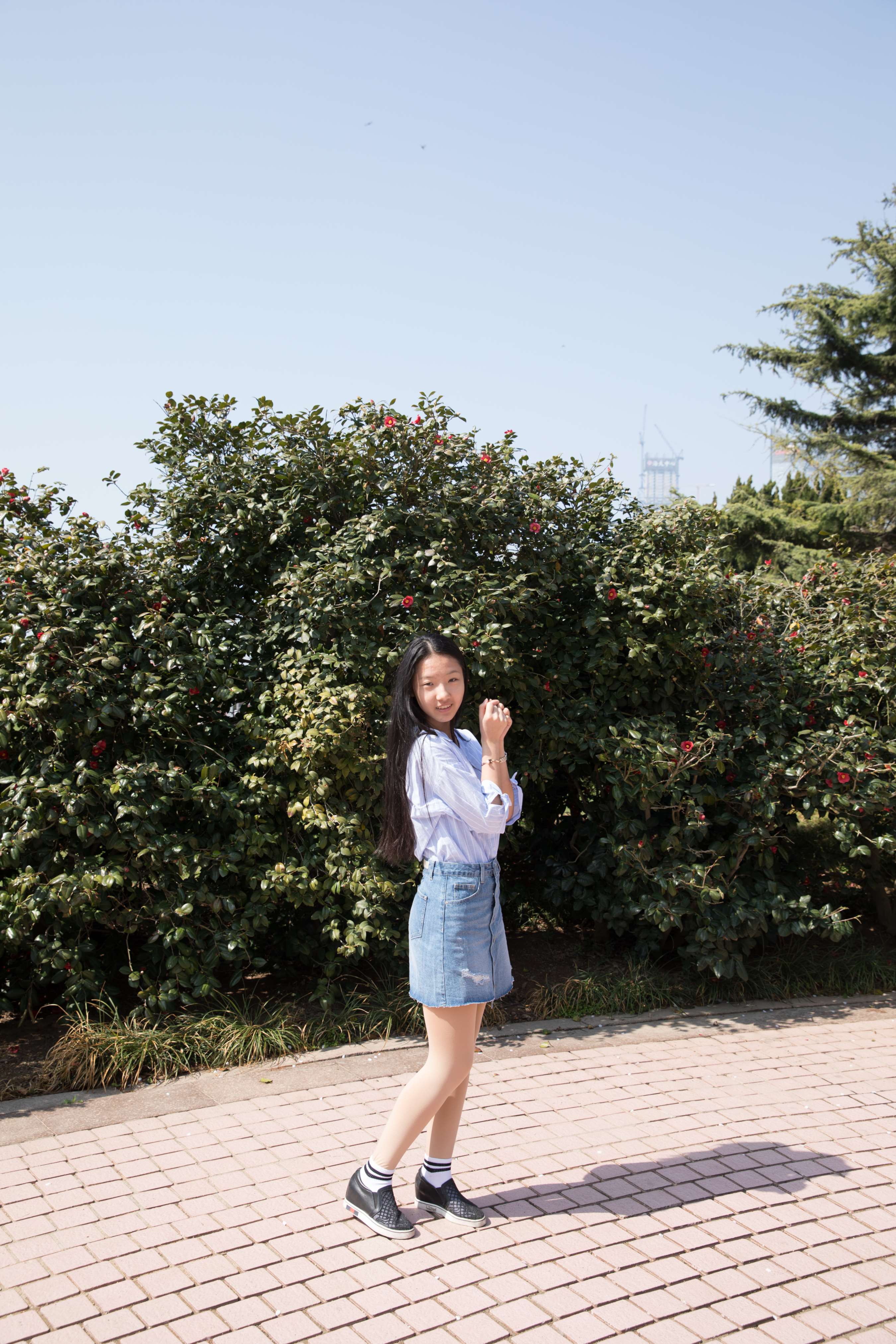 《清新阳光的暖春气息》作品图