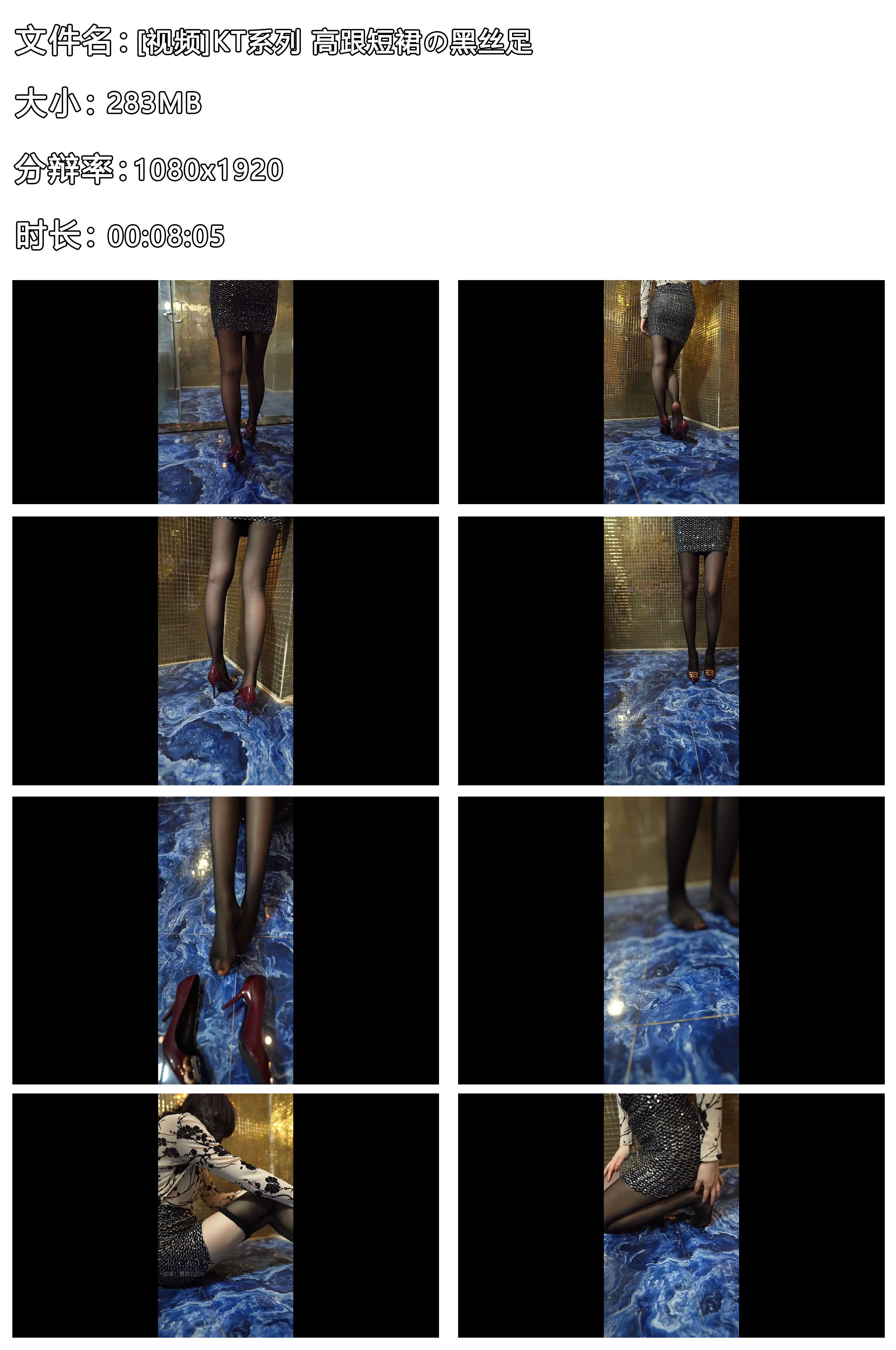 《[寄卖]KT系列-高跟短裙の黑丝足》作品图