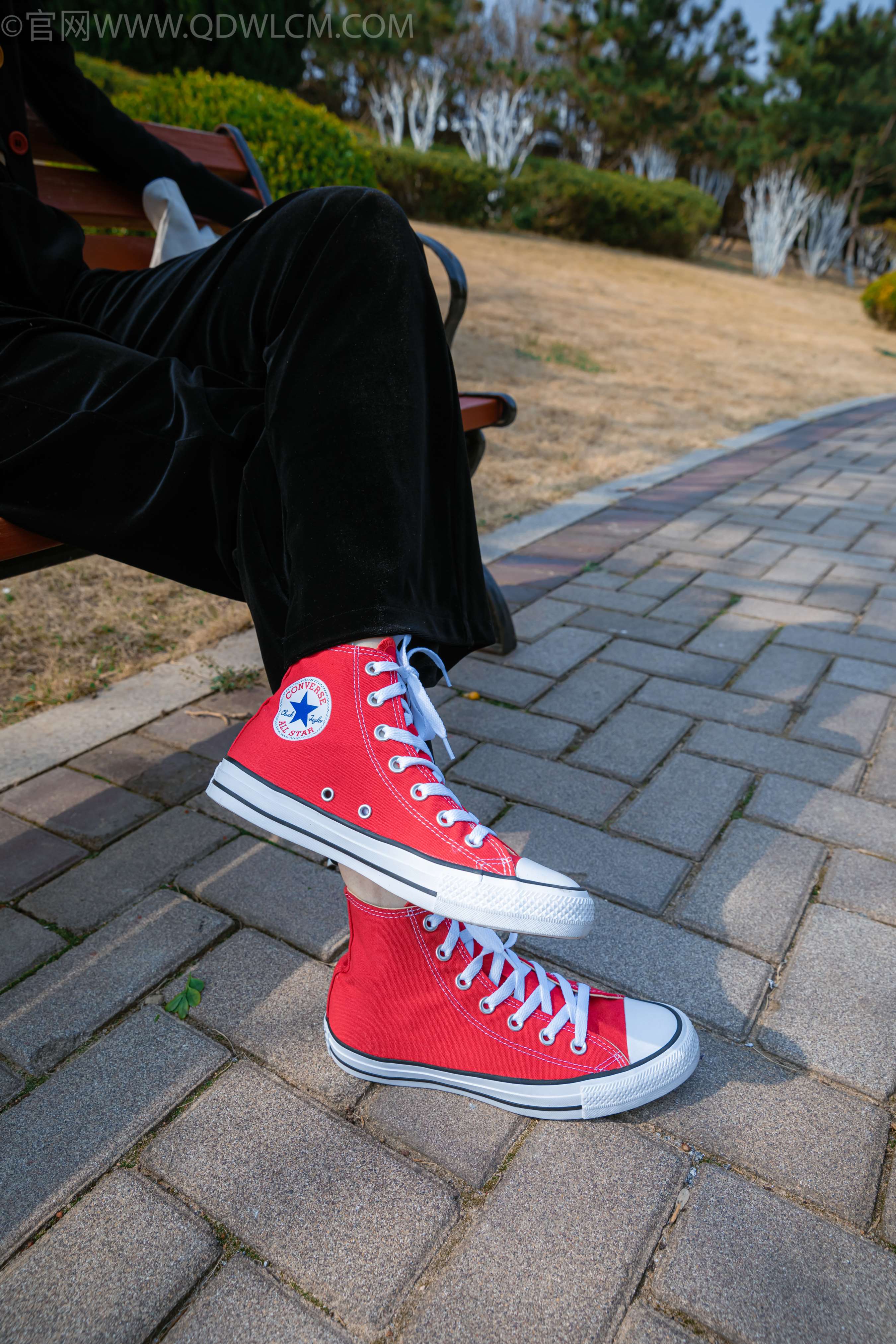 《猫耳-户外时光》作品图