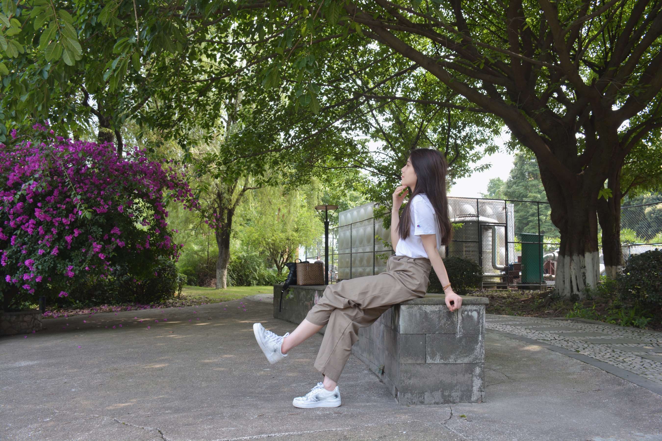 《校园游记-春花秋月何时了》作品图