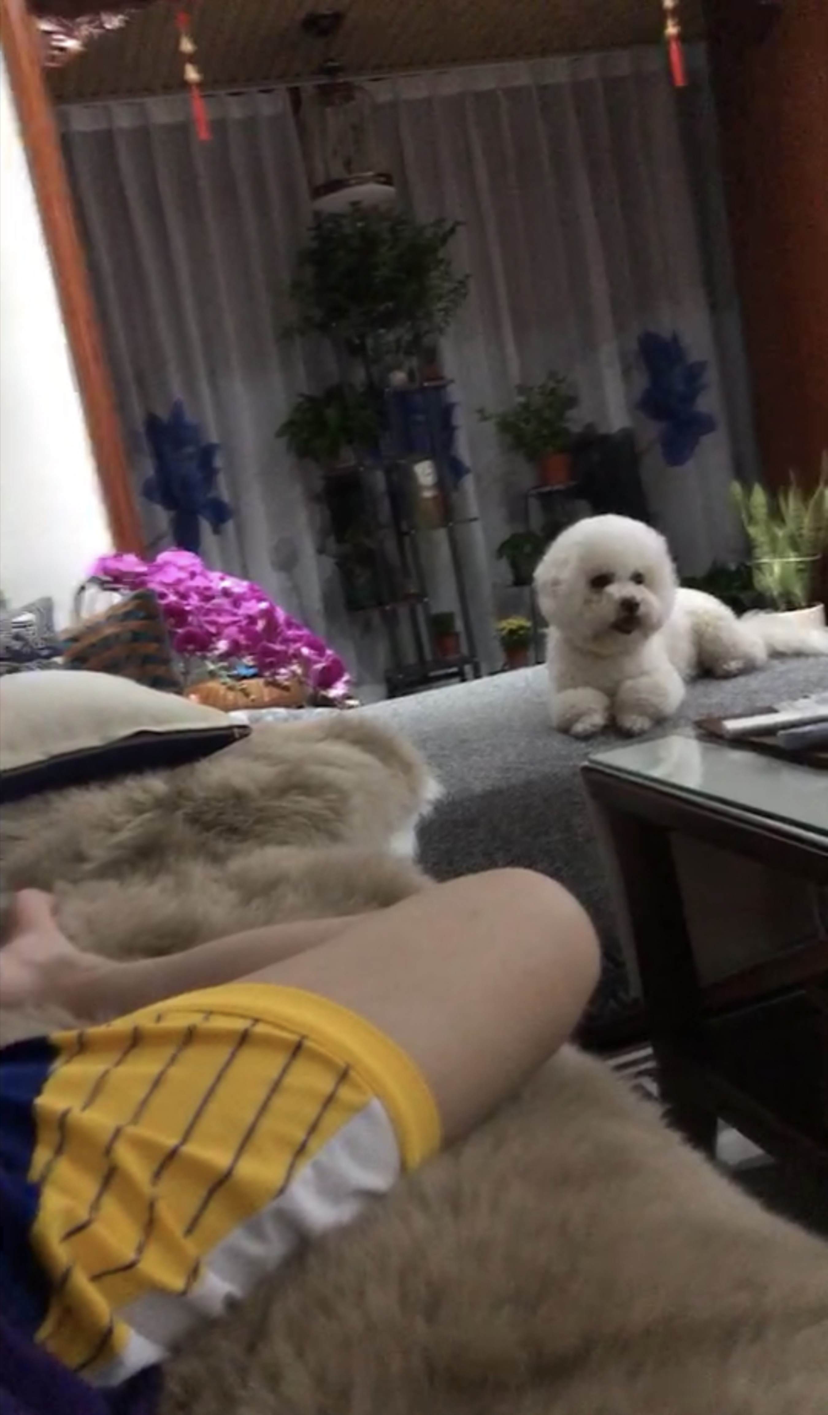 《传媒学院小姐姐的红润脚丫》作品图