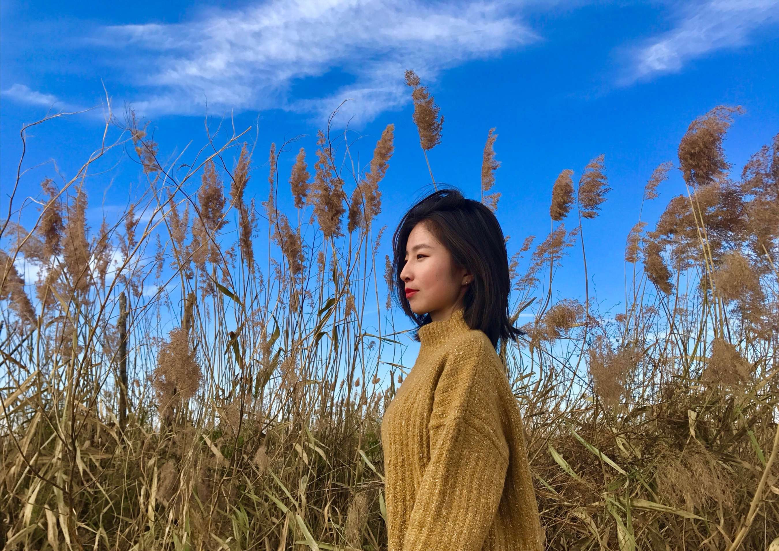 《艺术学院细腿班花小姐姐脚丫》作品图