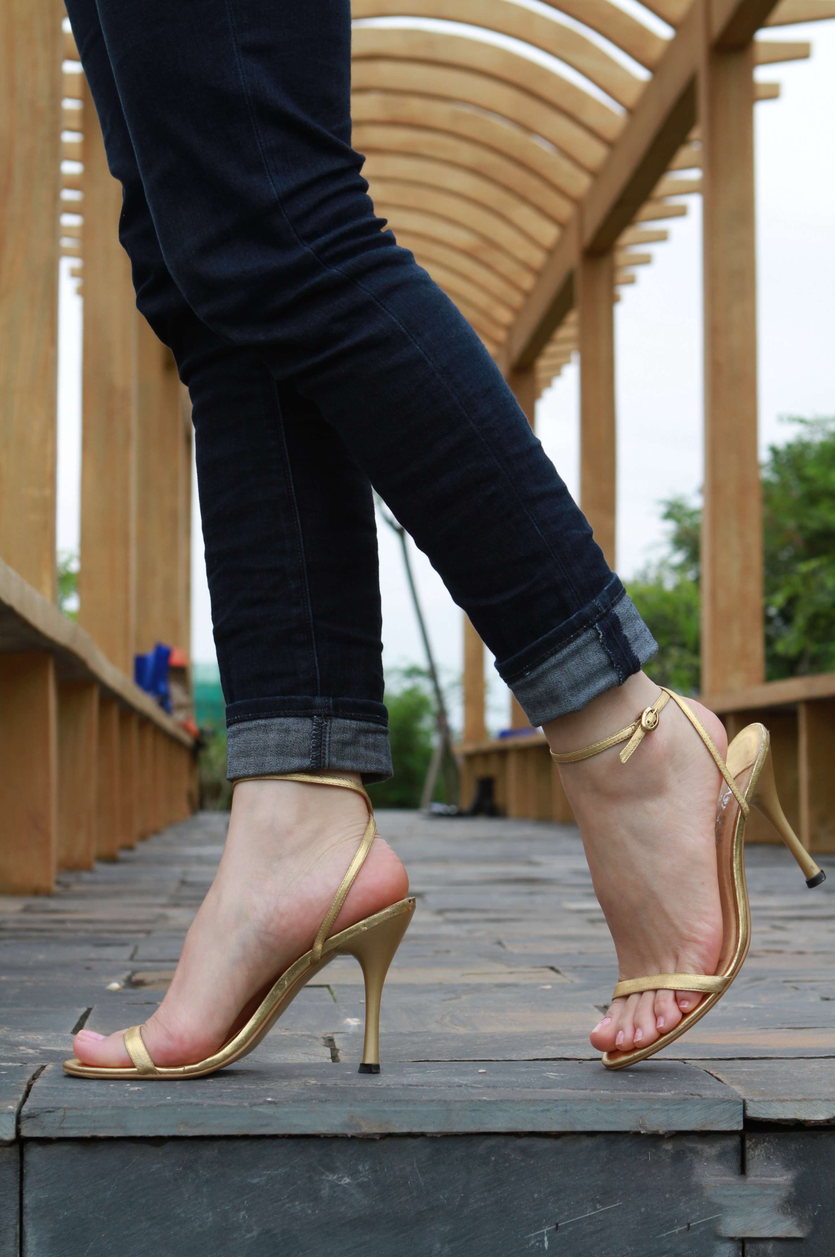 《[寄卖]芬妮视图合集630套图61个视频，101.21GB》作品图