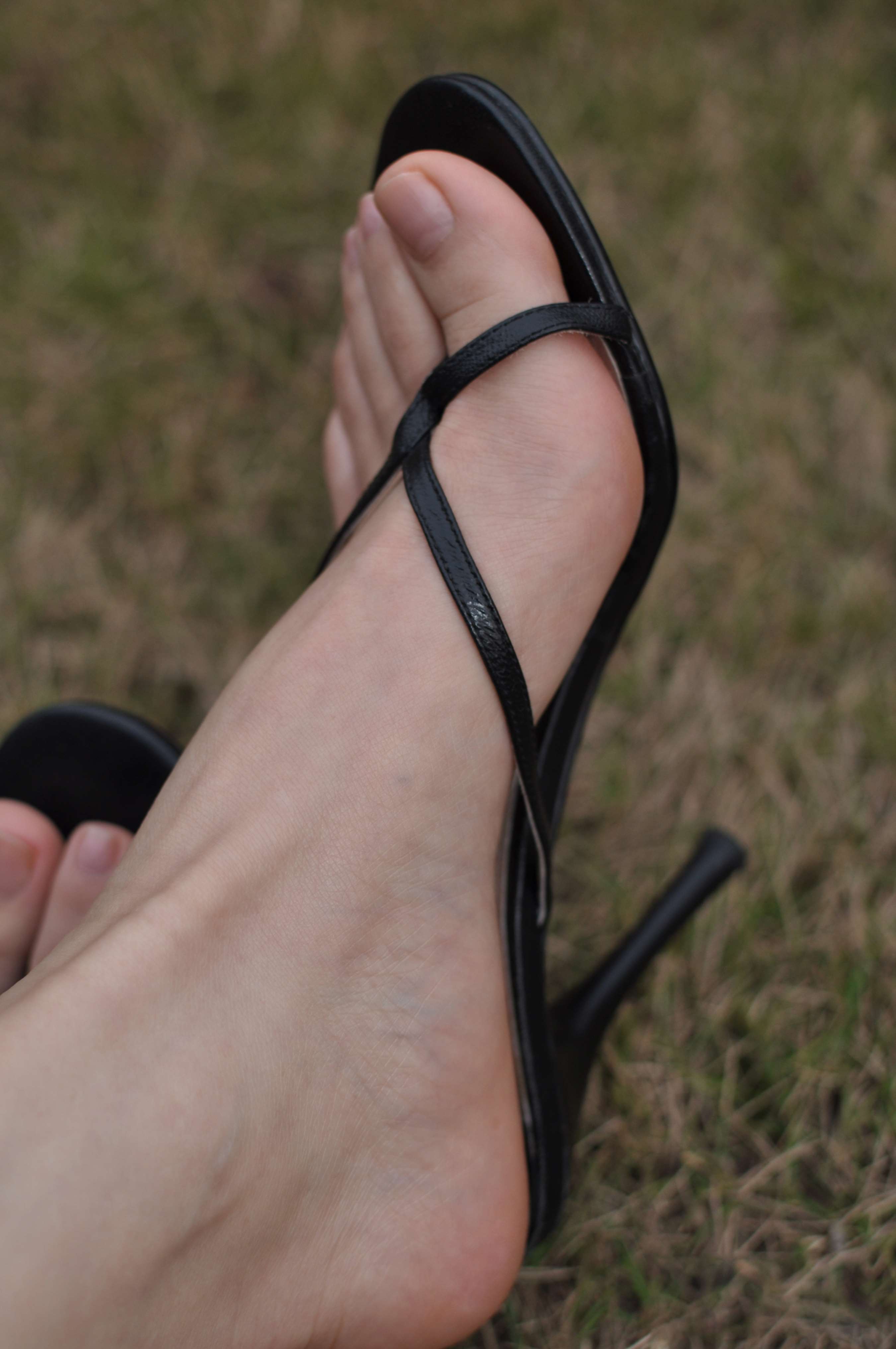 《[寄卖]芬妮视图合集630套图61个视频，101.21GB》作品图