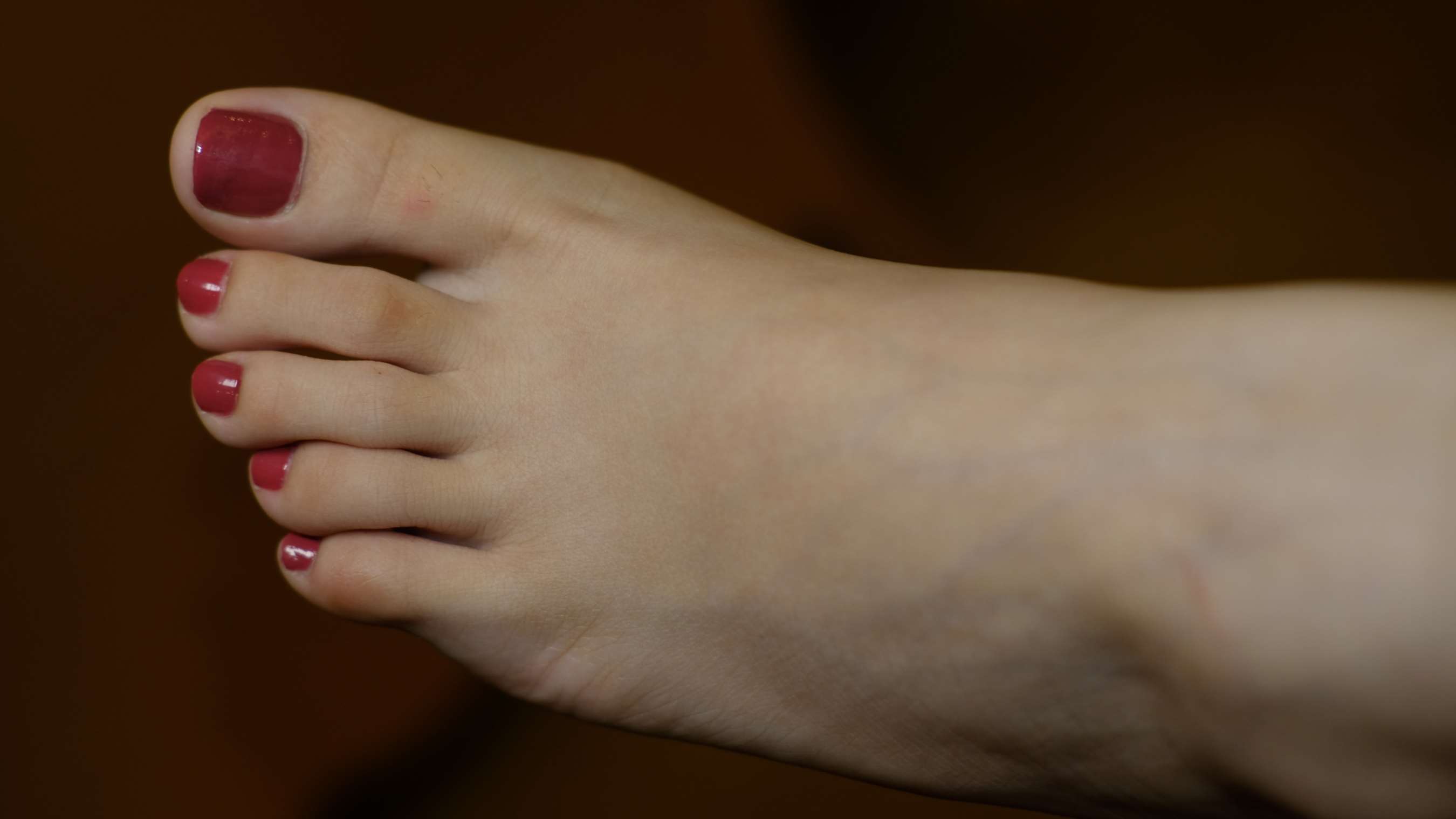 《小虫的嫩足》作品图