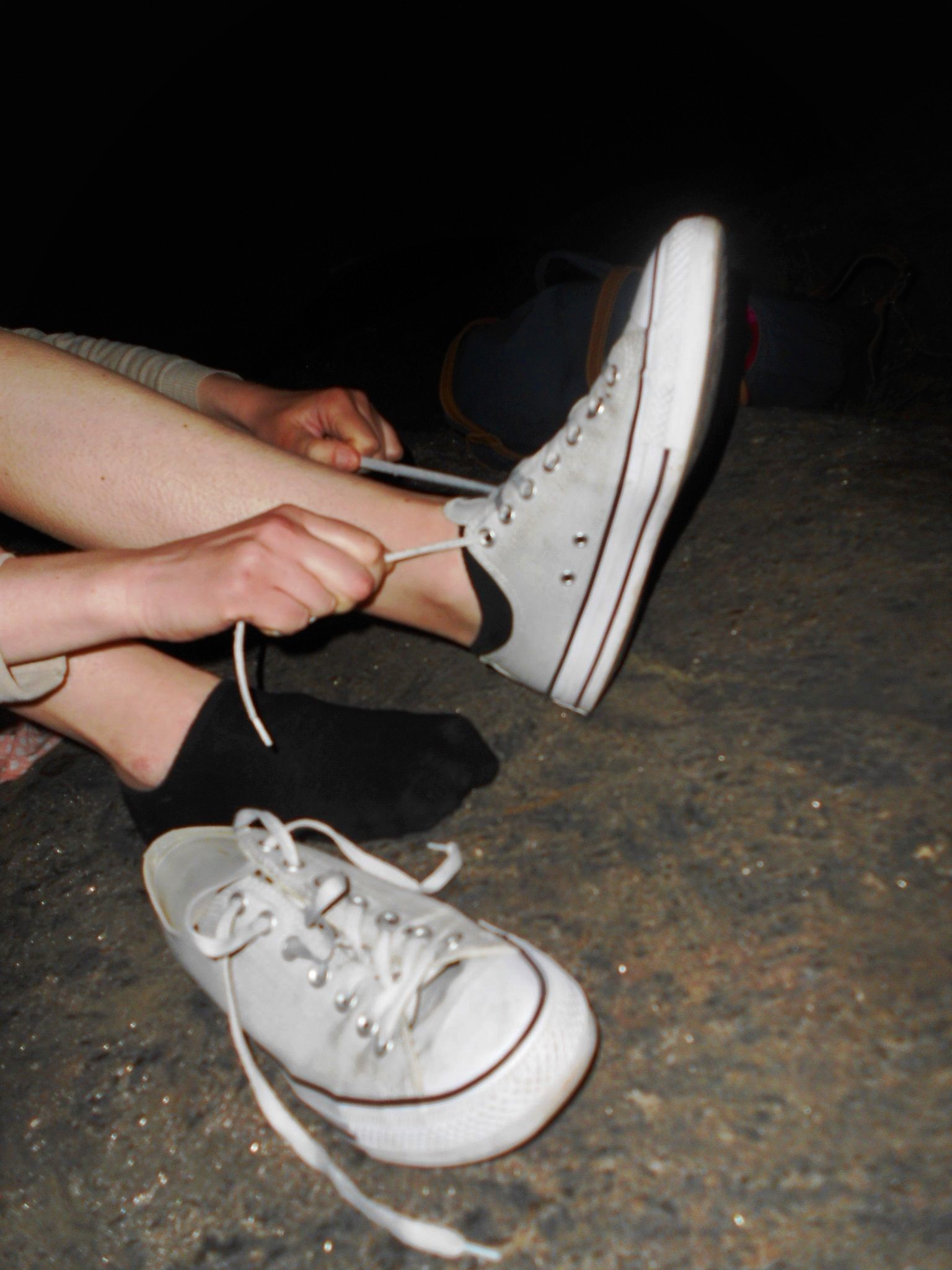 《纽约中央公园 - Bridgette Holland 博士》作品图