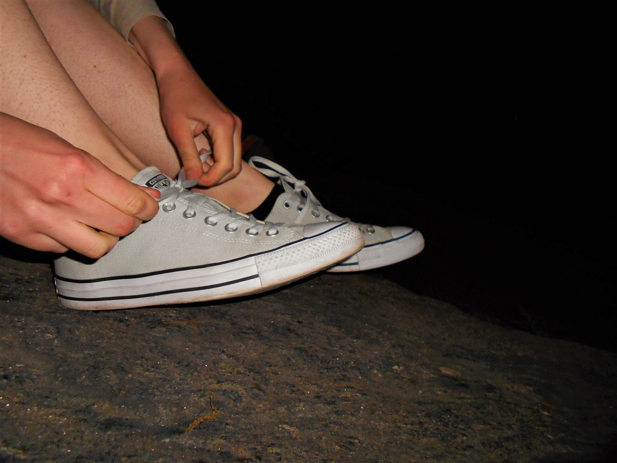 《纽约中央公园 - Bridgette Holland 博士》作品图