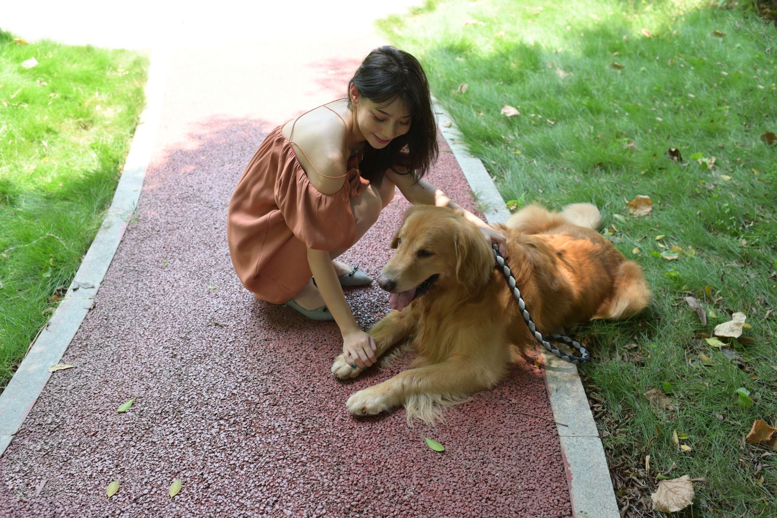 《小姐姐的宠物奇缘》作品图