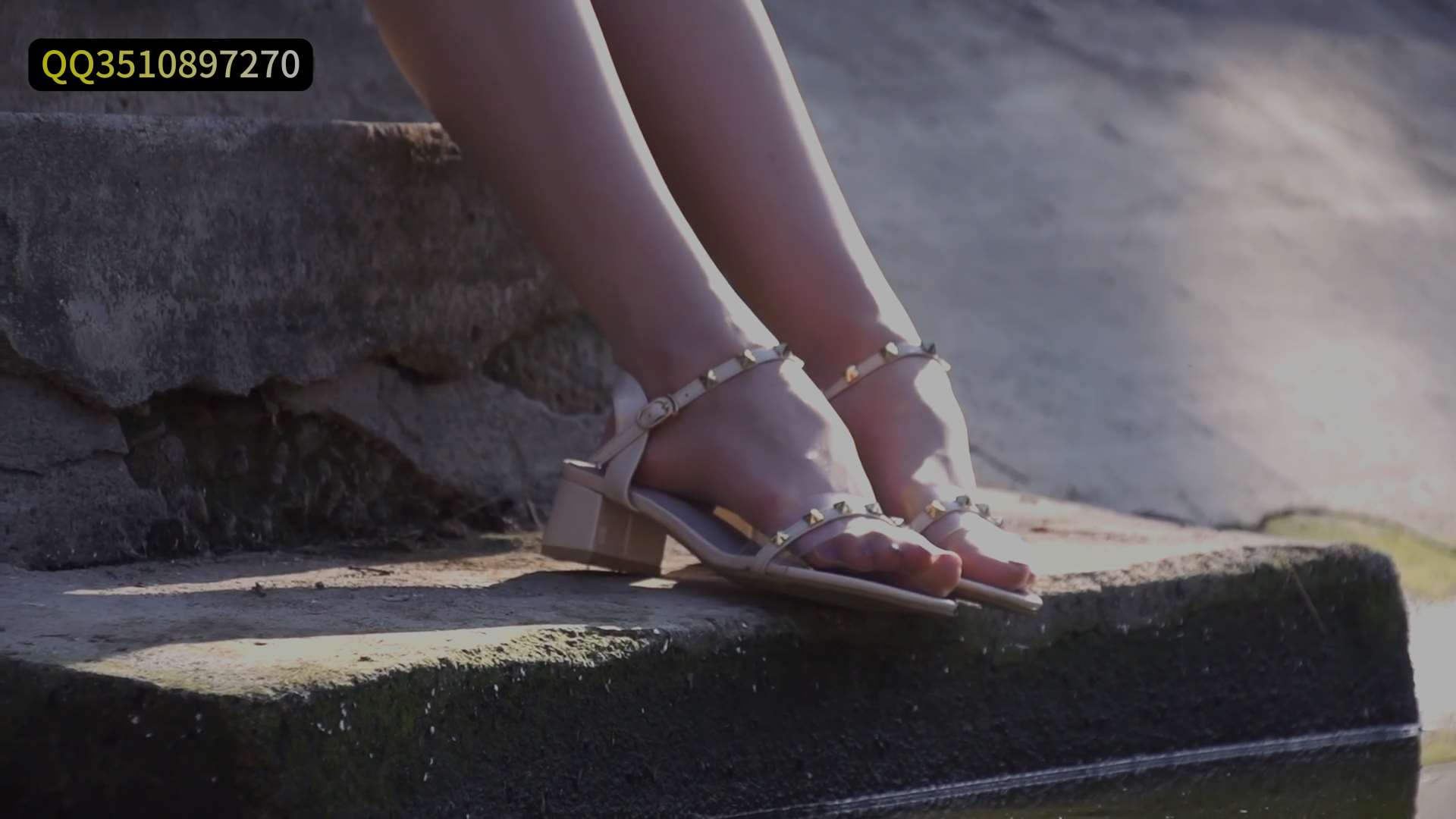 《[视频]金池荡尤莲-兔子》作品图