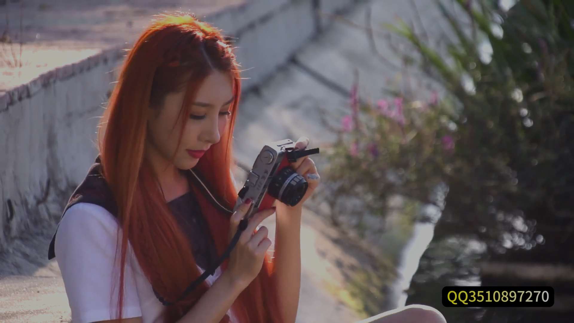 《[视频]金池荡尤莲-兔子》作品图