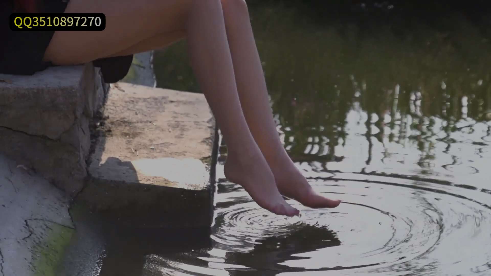 《[视频]金池荡尤莲-兔子》作品图