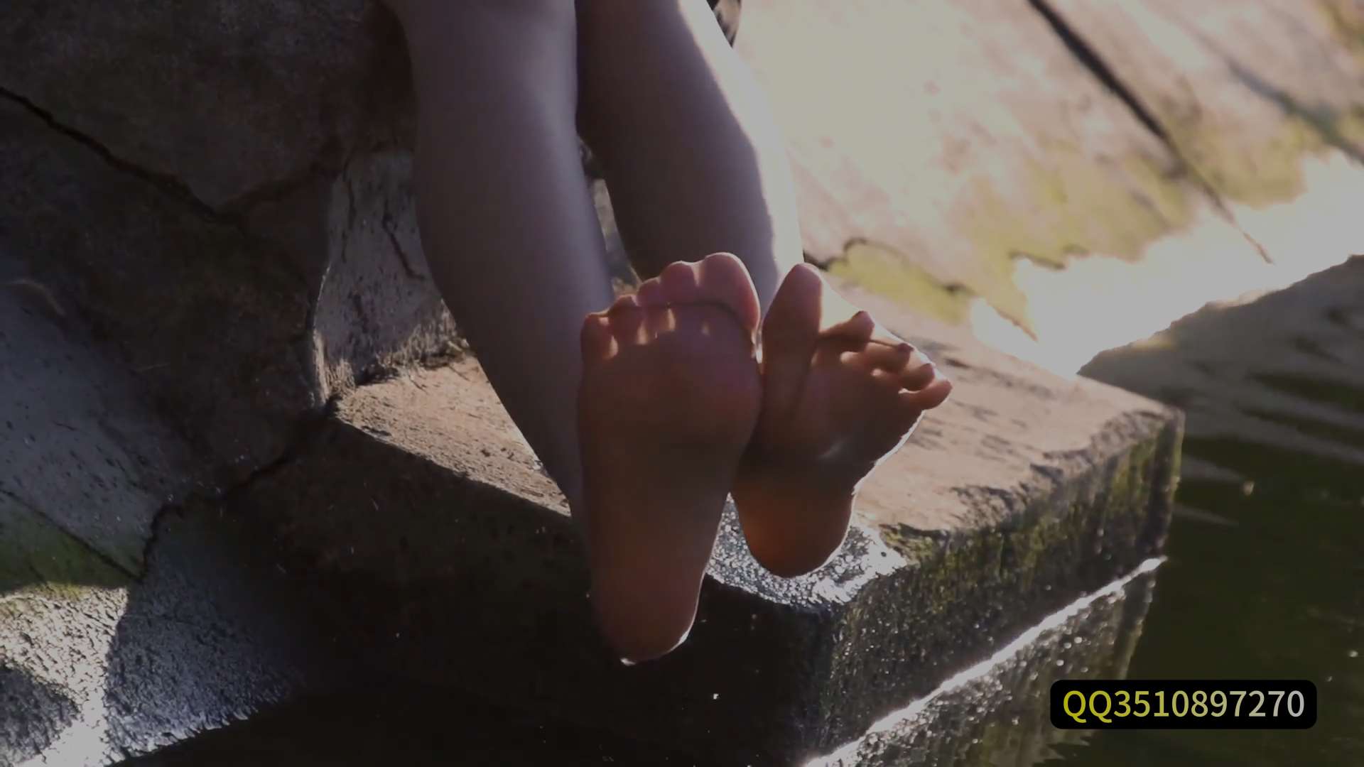 《[视频]金池荡尤莲-兔子》作品图