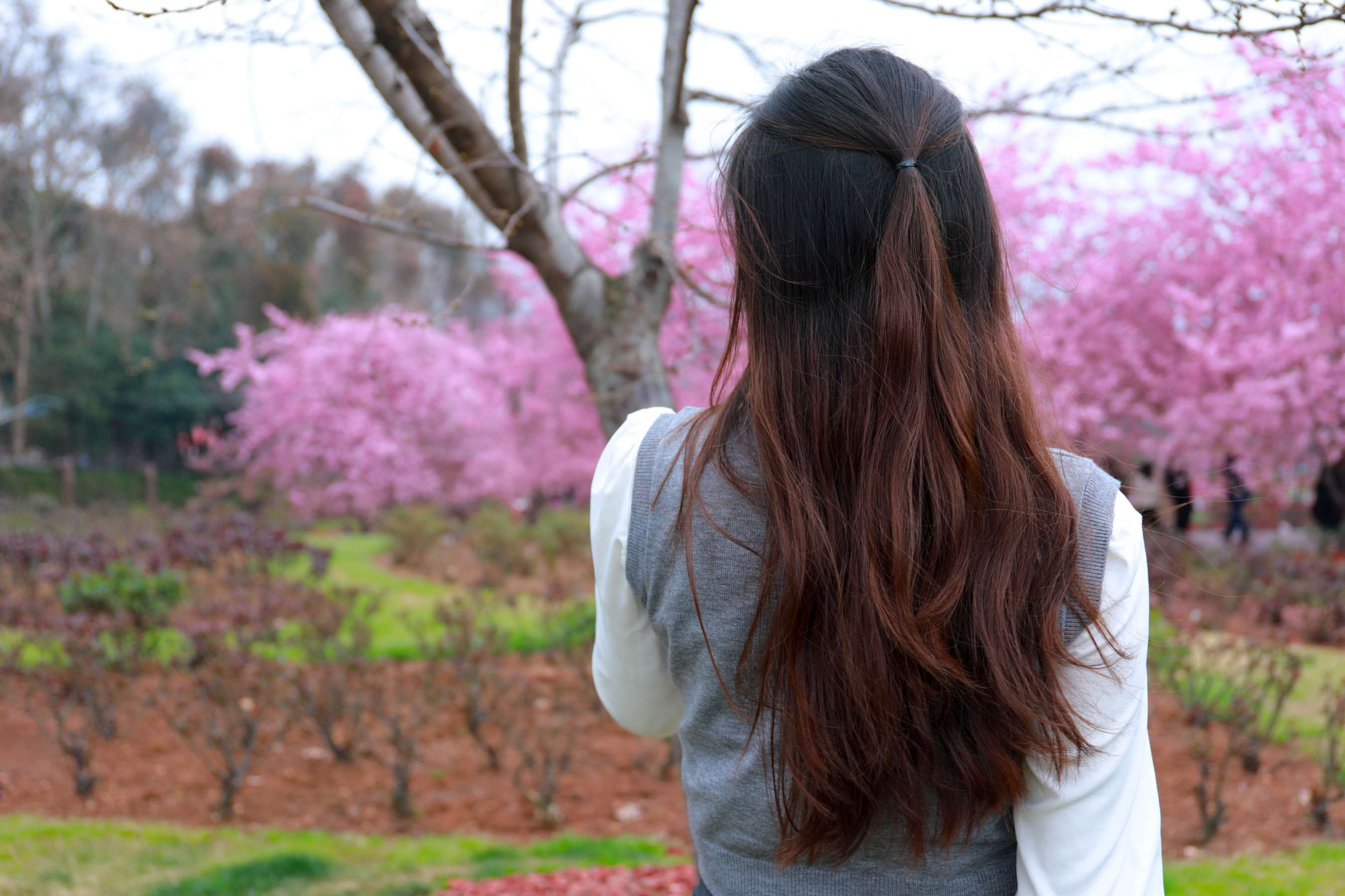 《小天职业装踏青》作品图