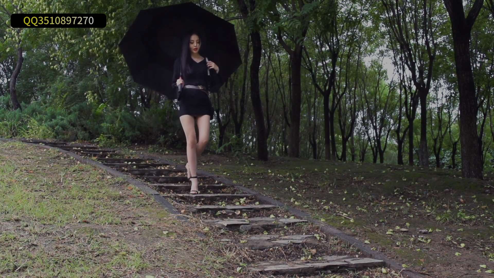 《[视频]雨后踏青丝-凉儿》作品图