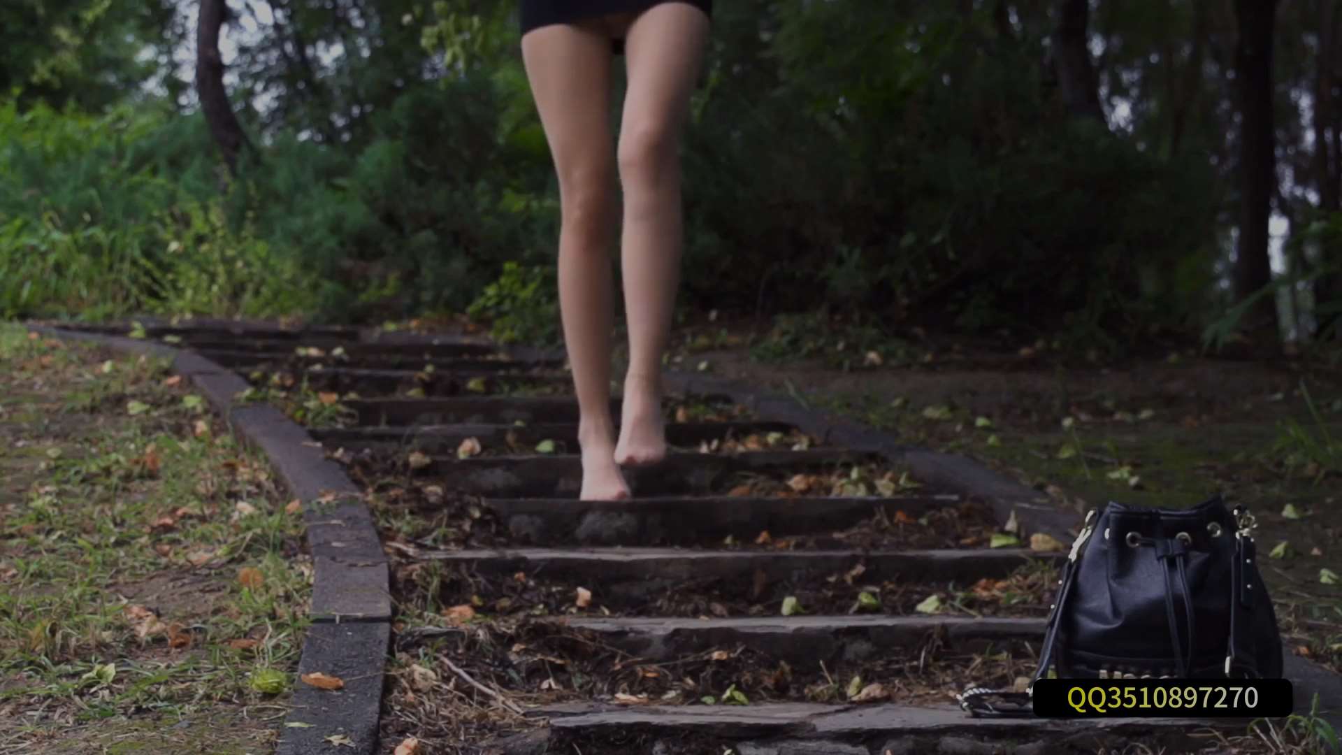 《[视频]雨后踏青丝-凉儿》作品图