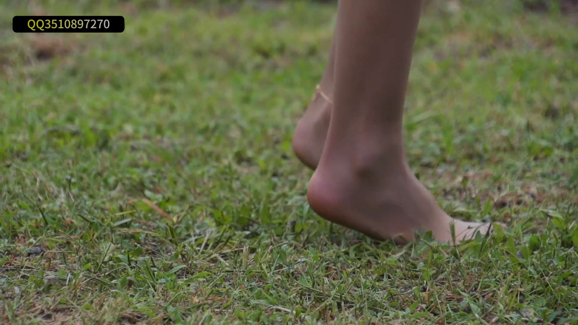 《[视频]雨后踏青丝-凉儿》作品图