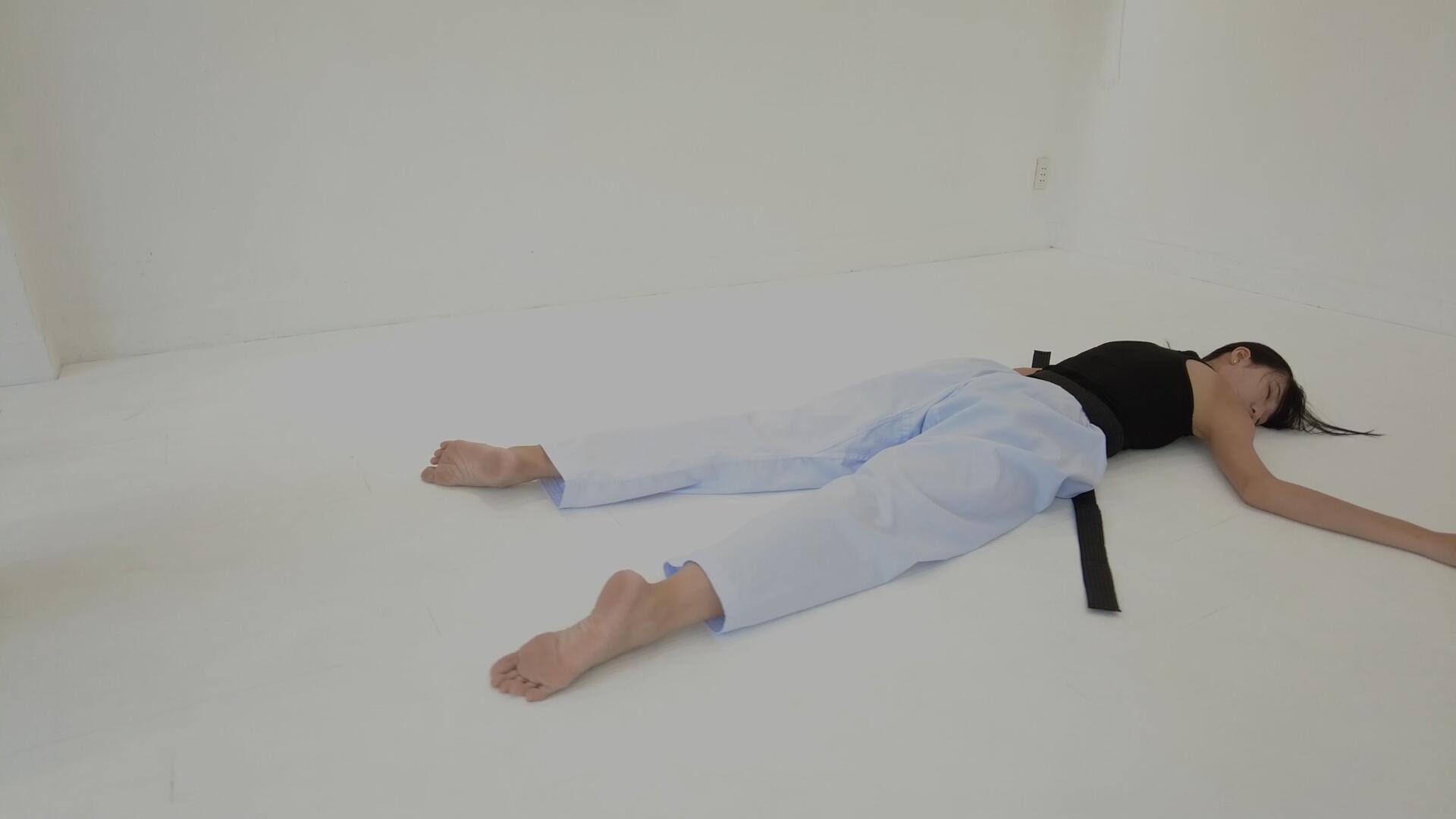 《[寄卖视频]安娜vs玫瑰空手道淘汰赛》作品图