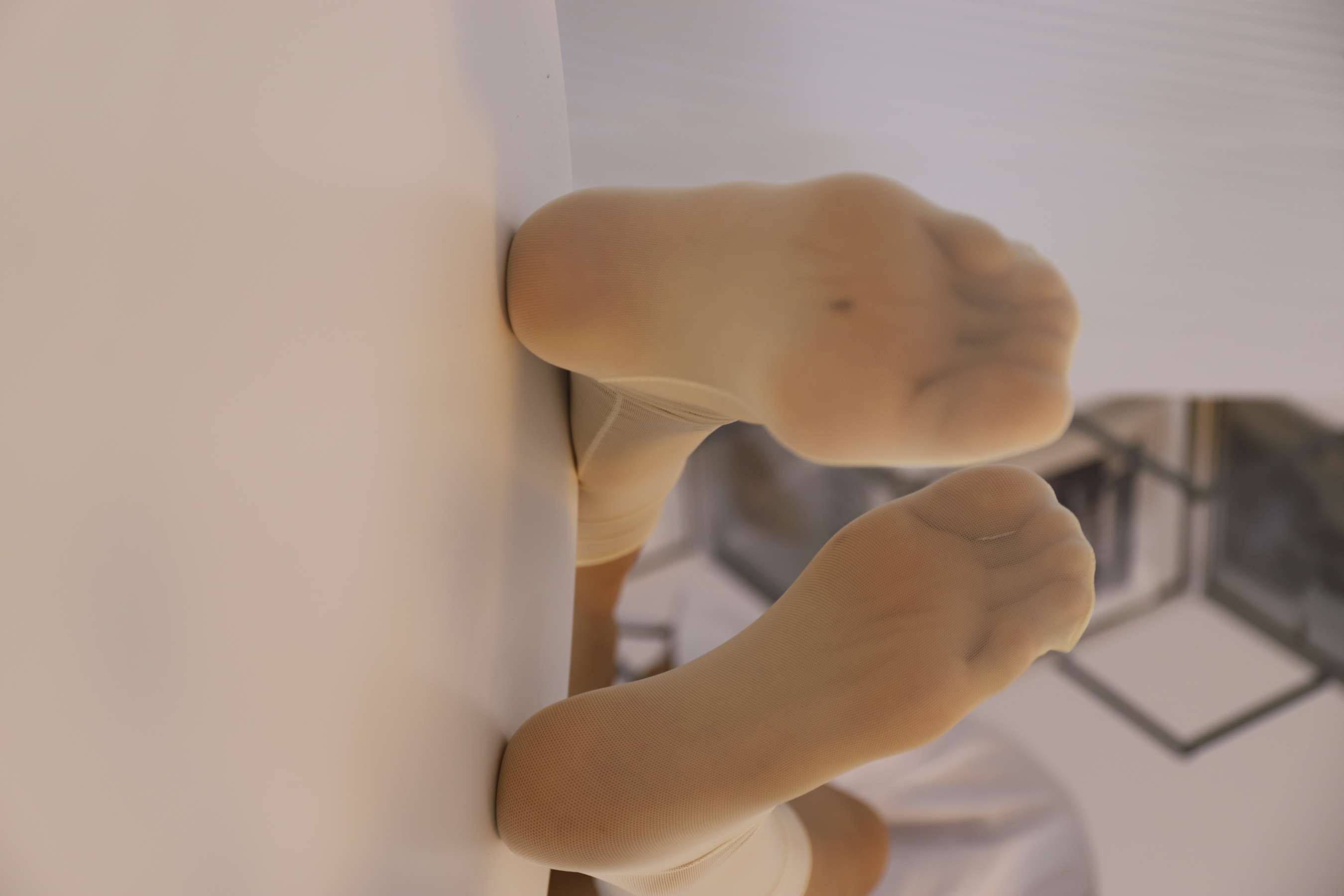 《学姐的十种袜子》作品图