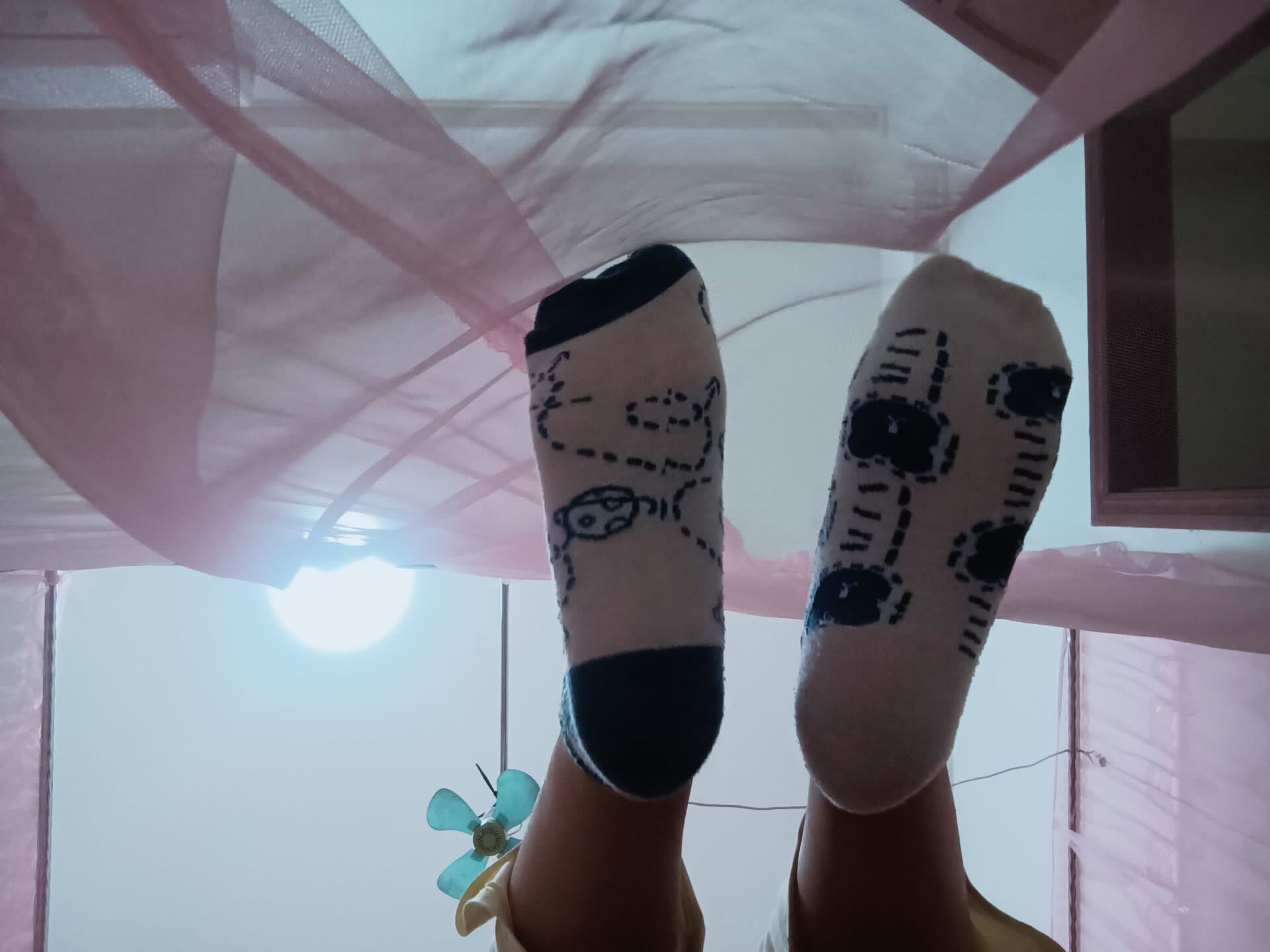 《大学生脚模面试-第三套》作品图