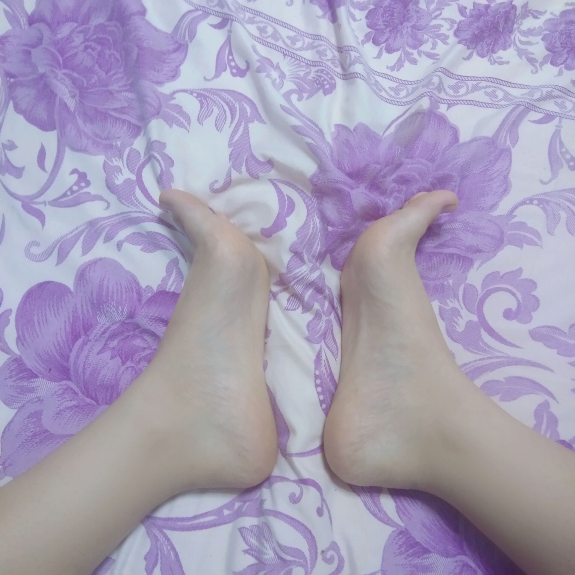 《大学生脚模面试-第24套》作品图