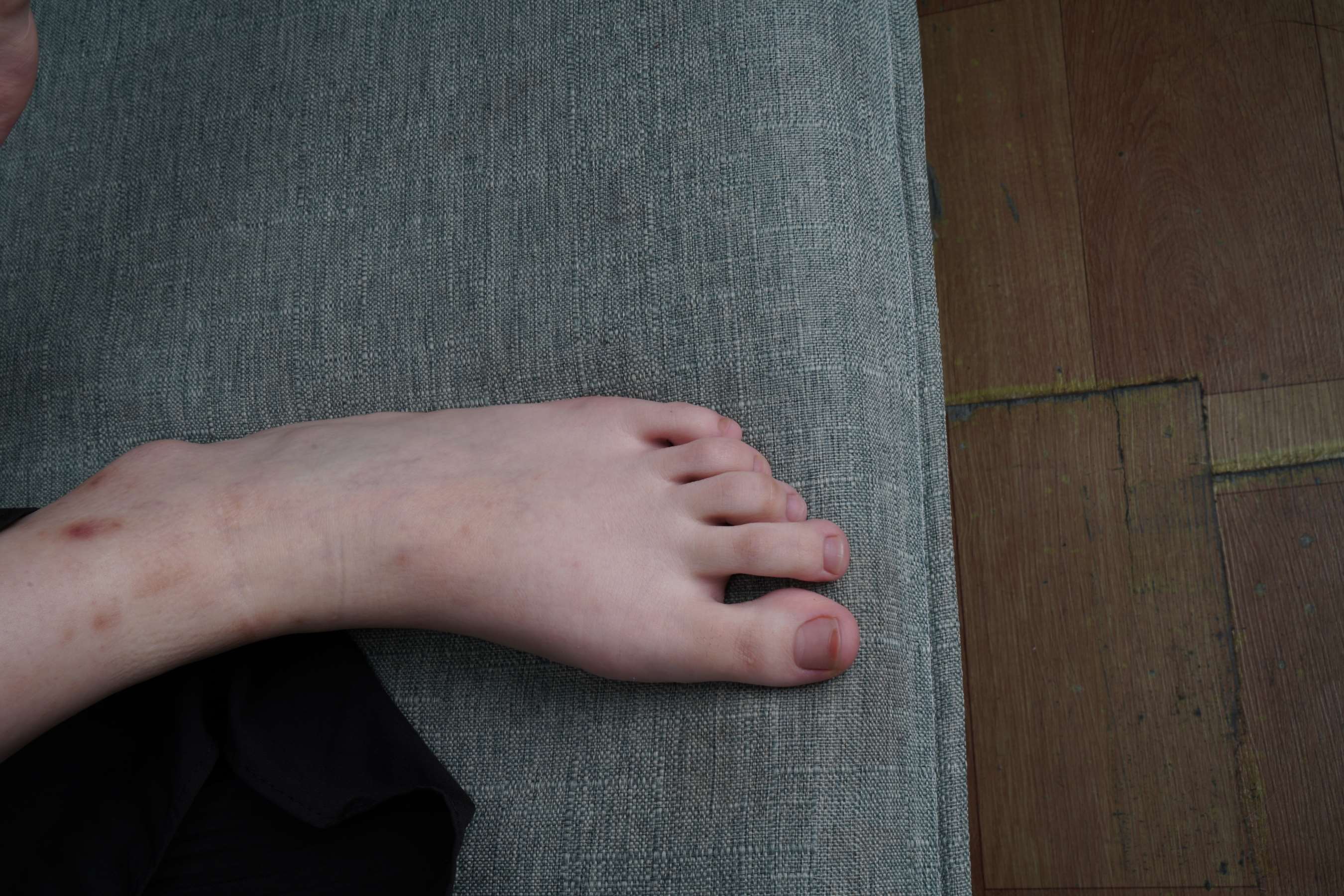 《琪琪新年食物》作品图