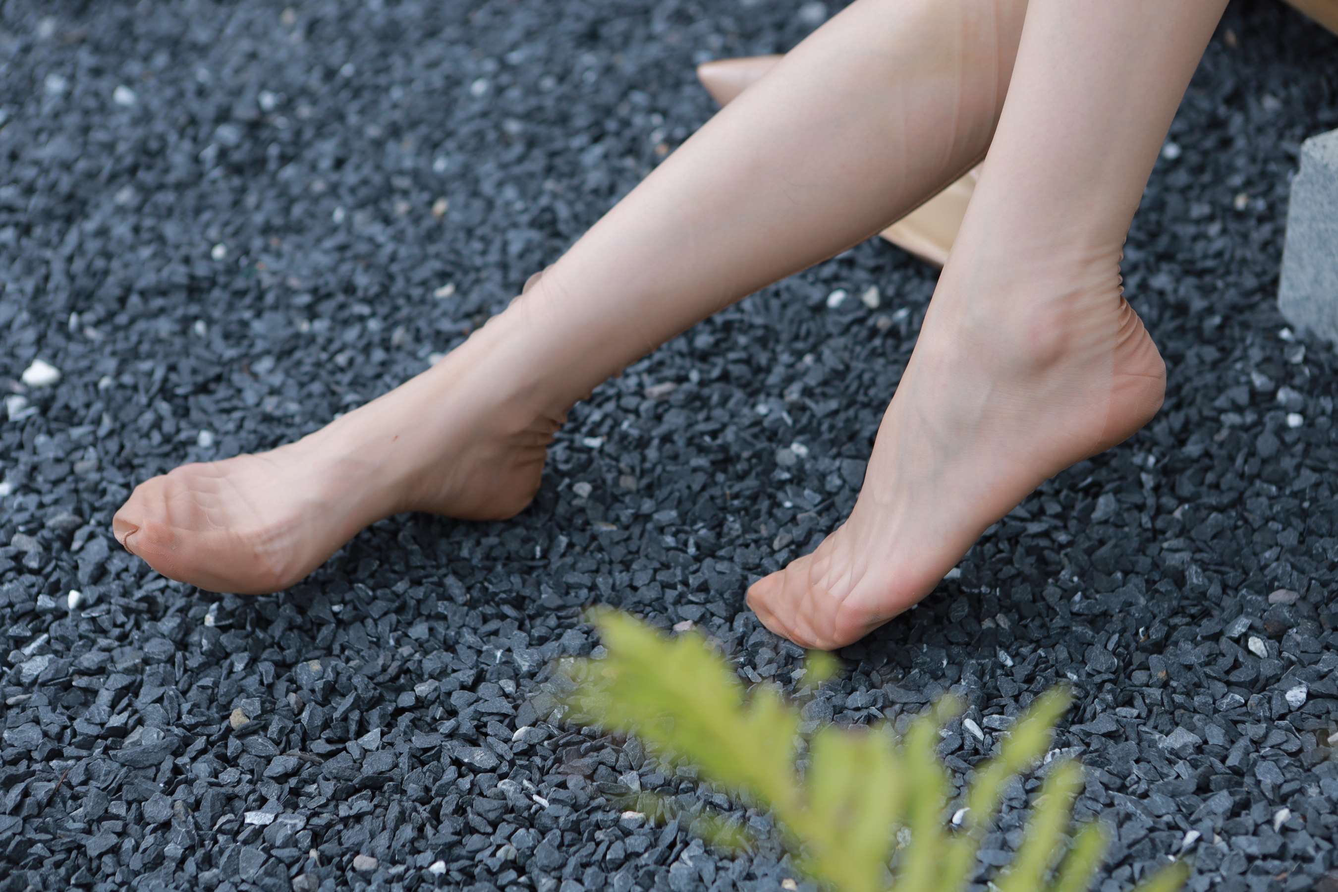 《Sia 庭园春梦》作品图