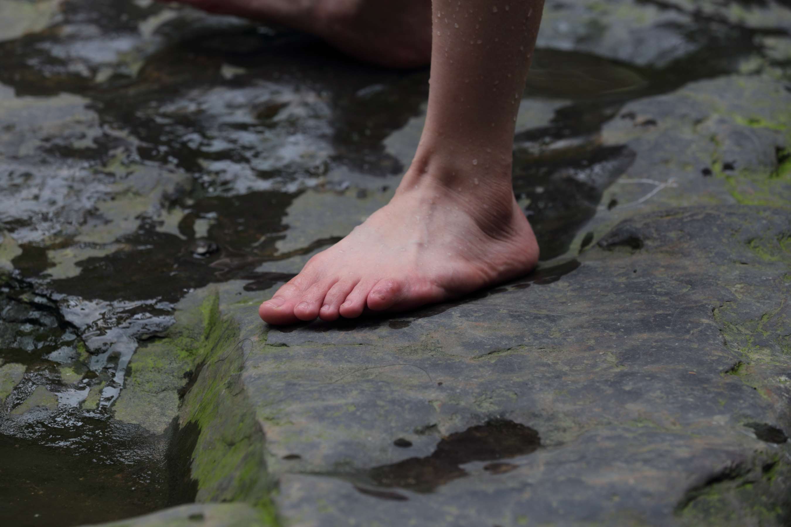 《如出水芙蓉的女孩春光乍泄》作品图